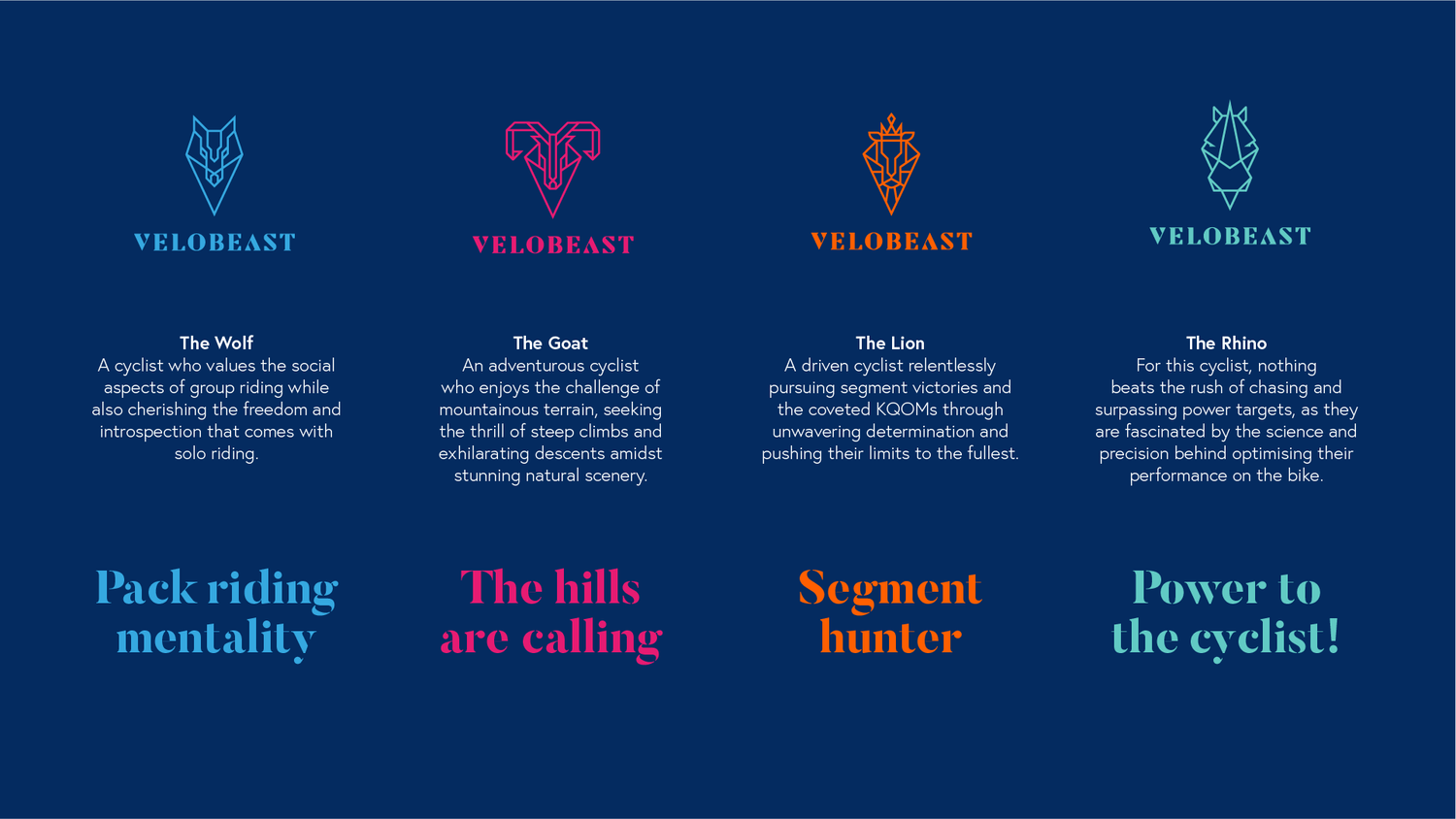 Velobeast — project image 5