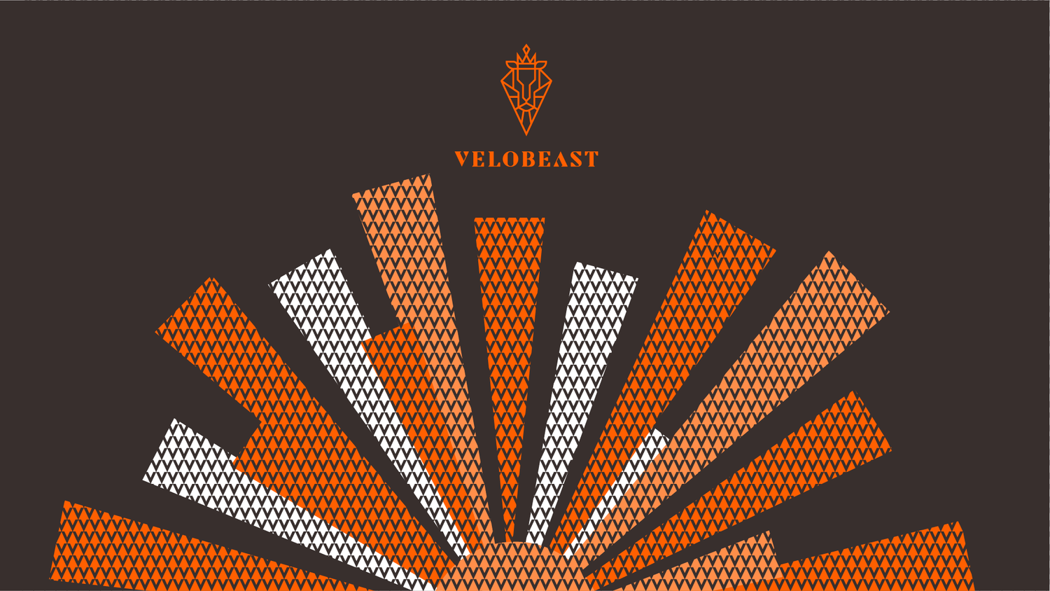Velobeast — project image 9