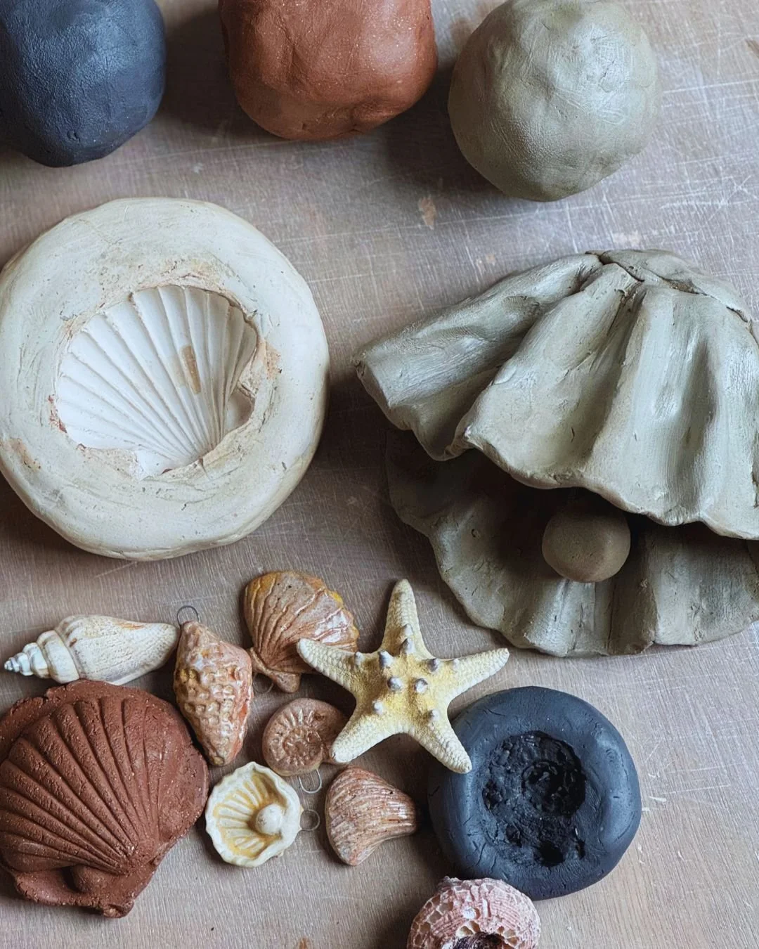 Shells & Sip / Byob Pottery / Clay Workshop