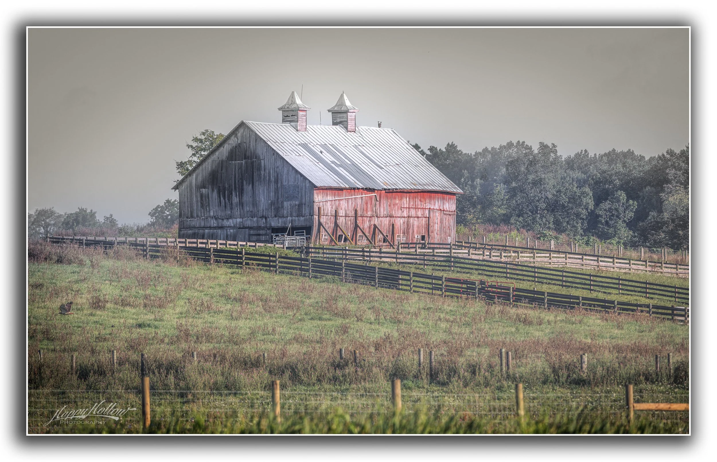 IMG_0169-Edit.jpg