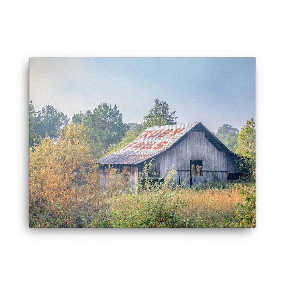 https://i.etsystatic.com/27367742/r/il/bfb20e/3568215830/il_fullxfull.3568215830_5736.jpg