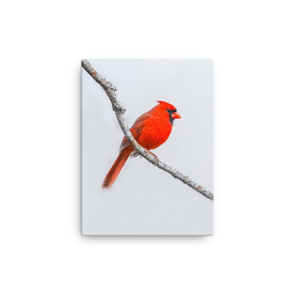 https://www.etsy.com/img/27367742/r/il/efc5fd/3606981765/il_fullxfull.3606981765_fm8s.jpg