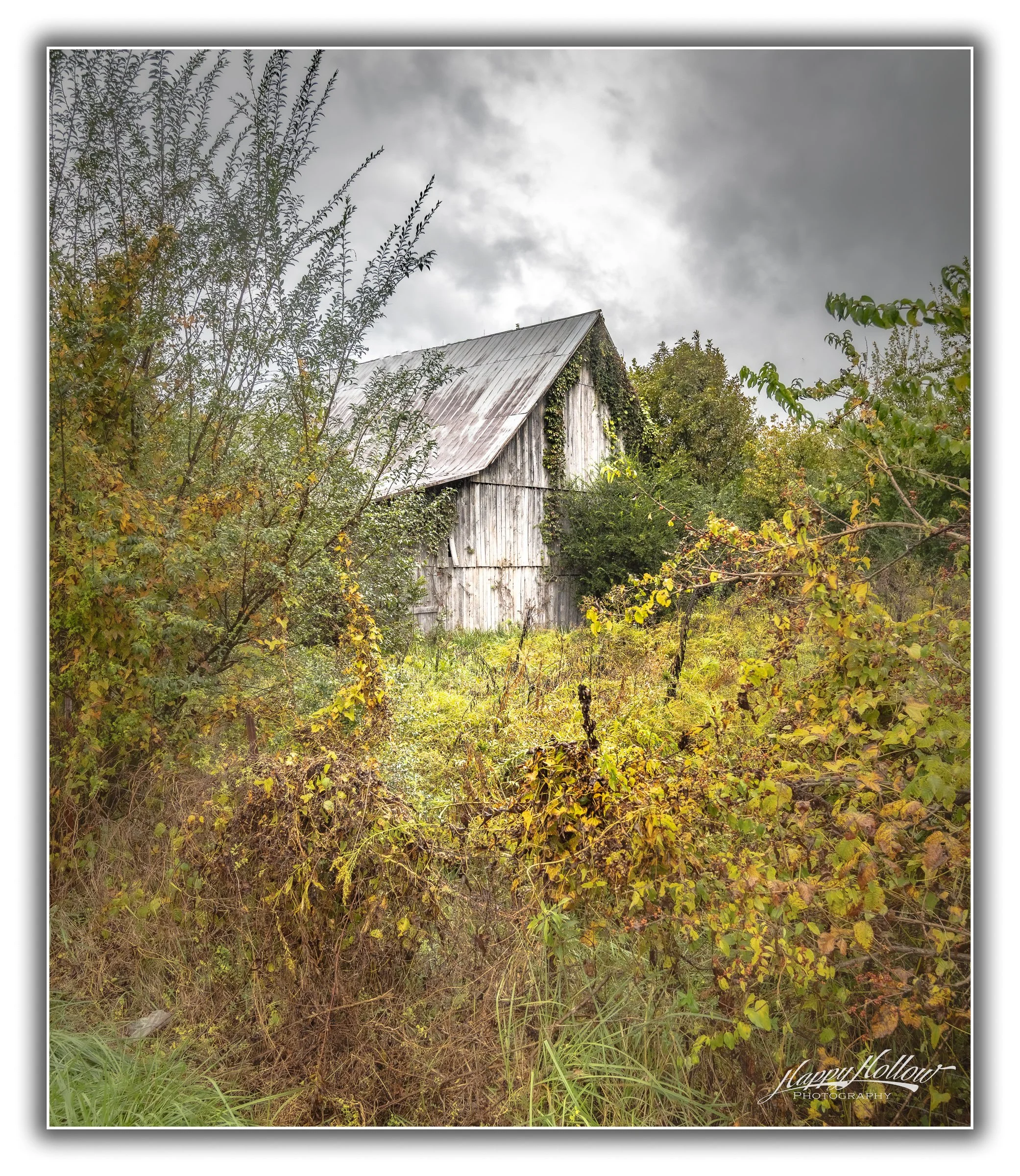 IMG_1220-Edit.jpg