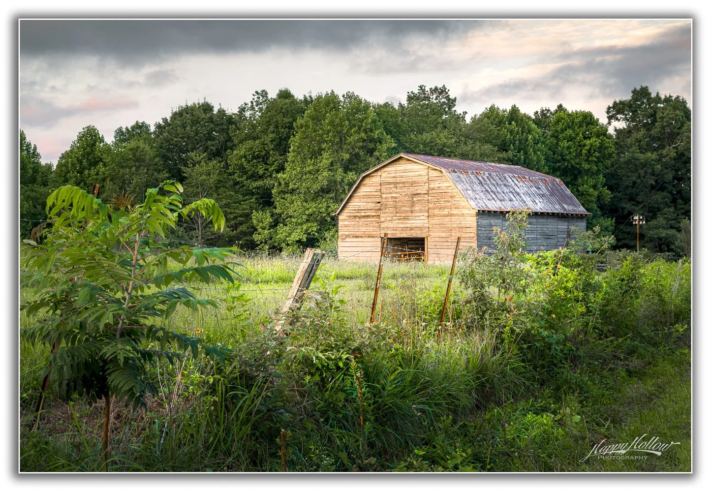 IMG_9603-Edit.jpg