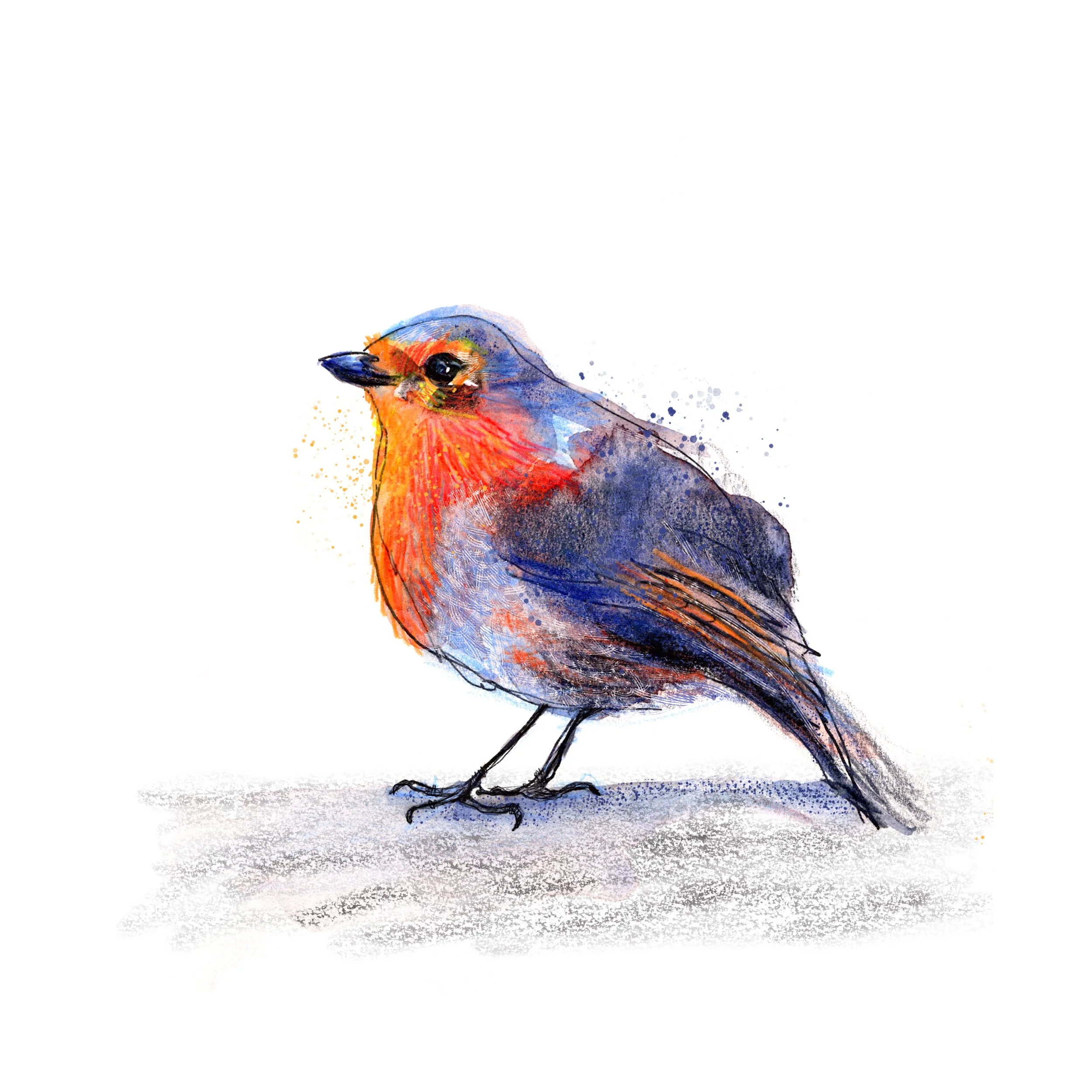 Robin Card