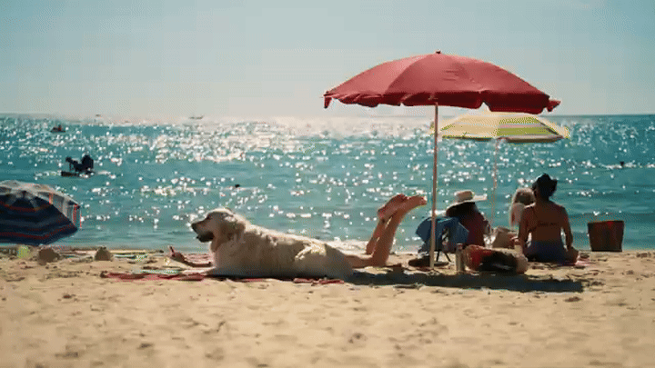 youtube-video-gif (1).gif