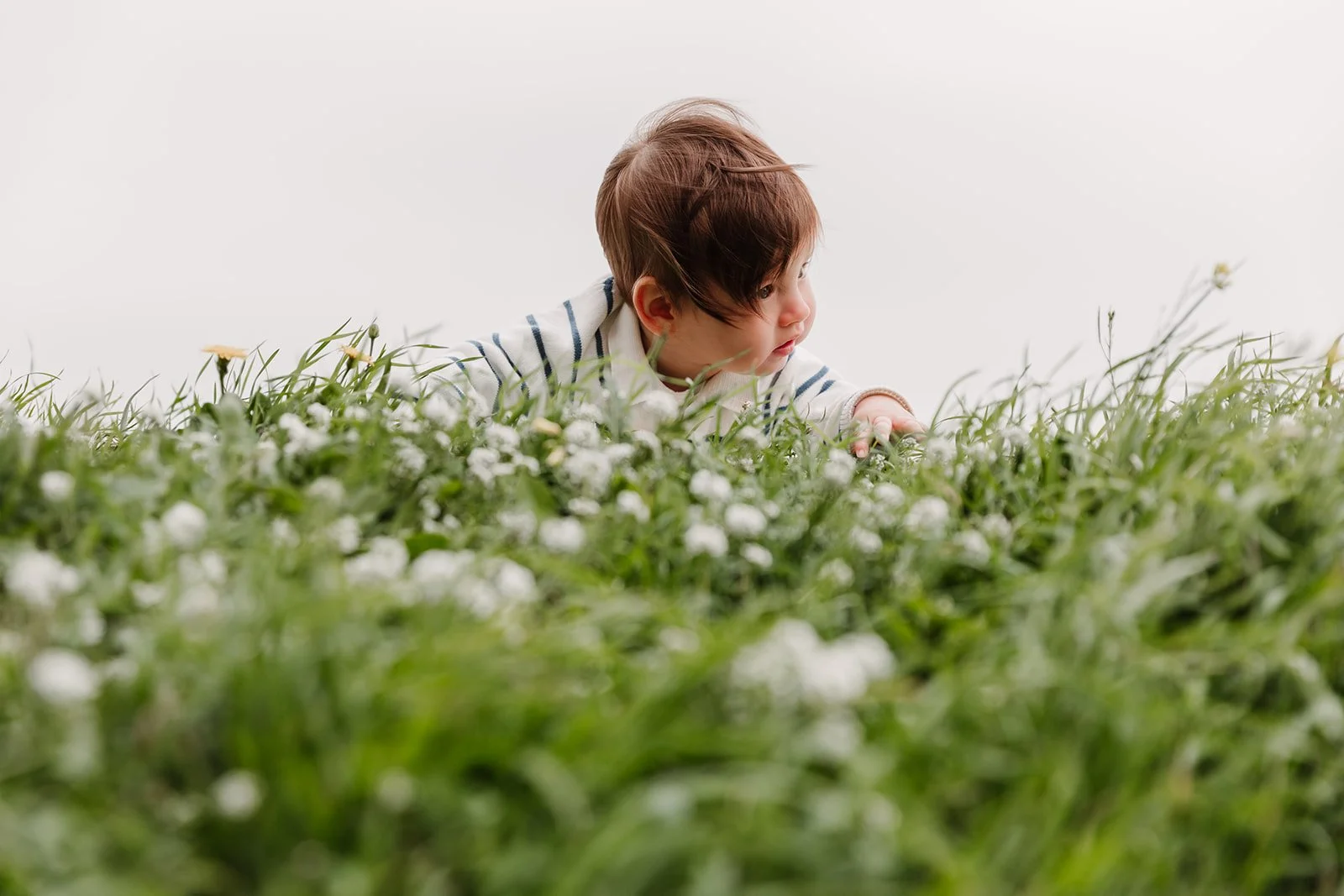 Bebe cheveux au vent dans champ de petites fleurs blanches