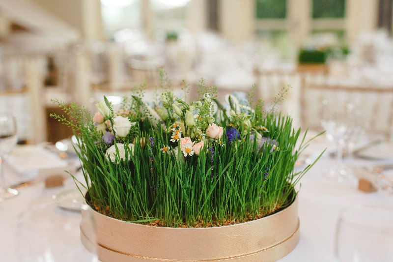 Wheatgrass mini garden by Tineke
