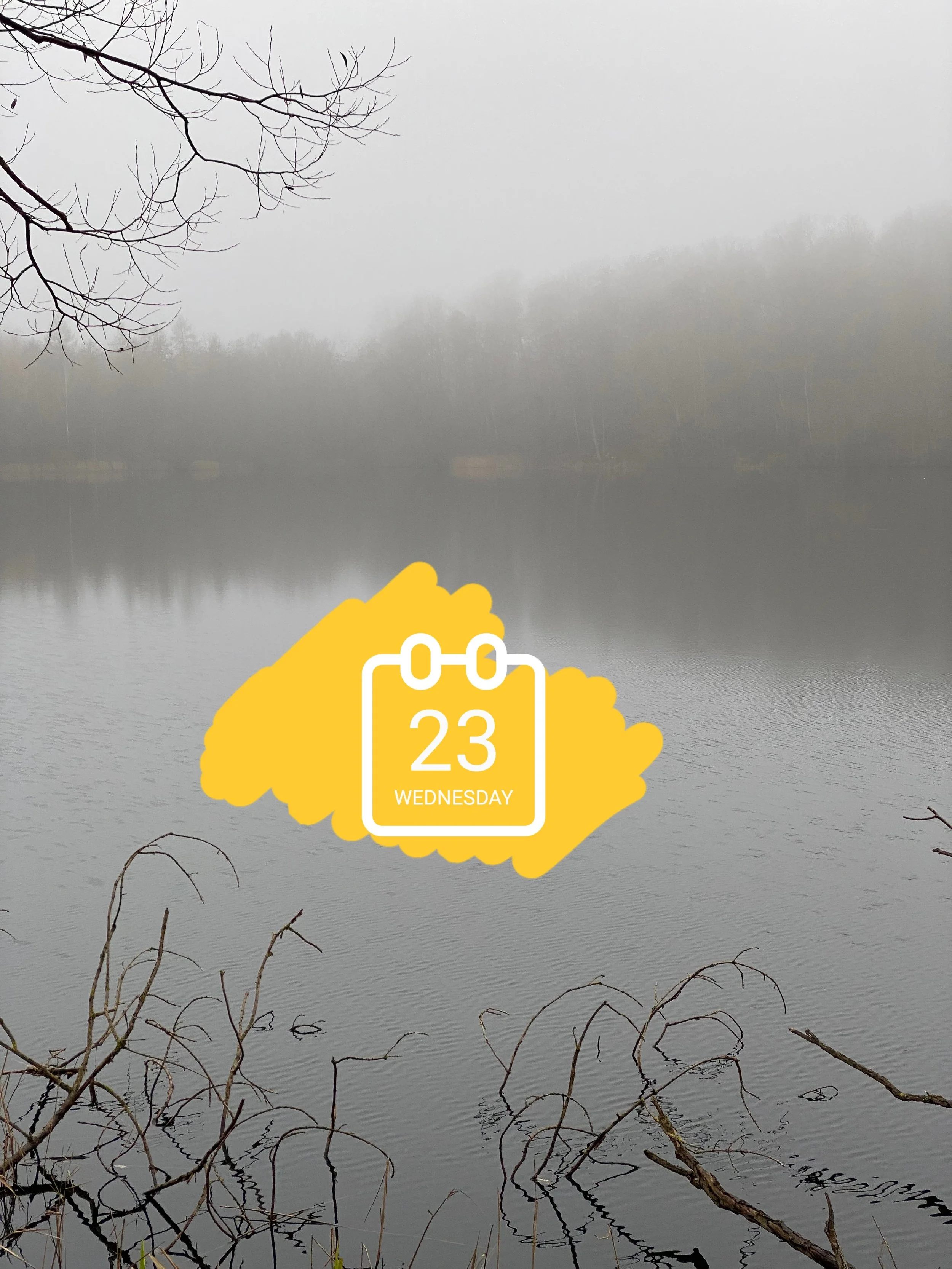 Calme, ce mois de novembre? 