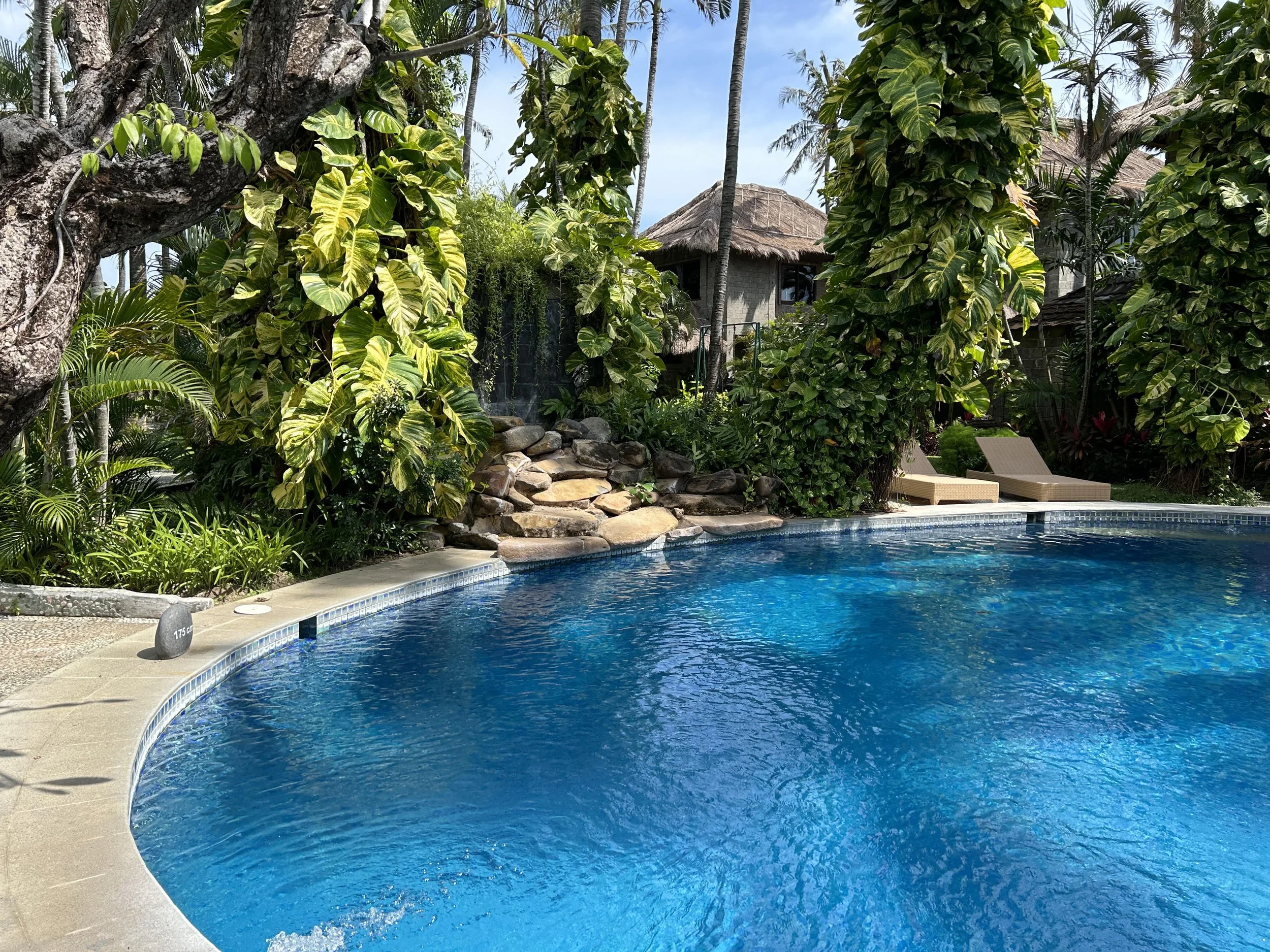 A swimming pool surrounded by lush tropical plants and trees, with a thatched-roof bungalow in the background and blue sky overhead.