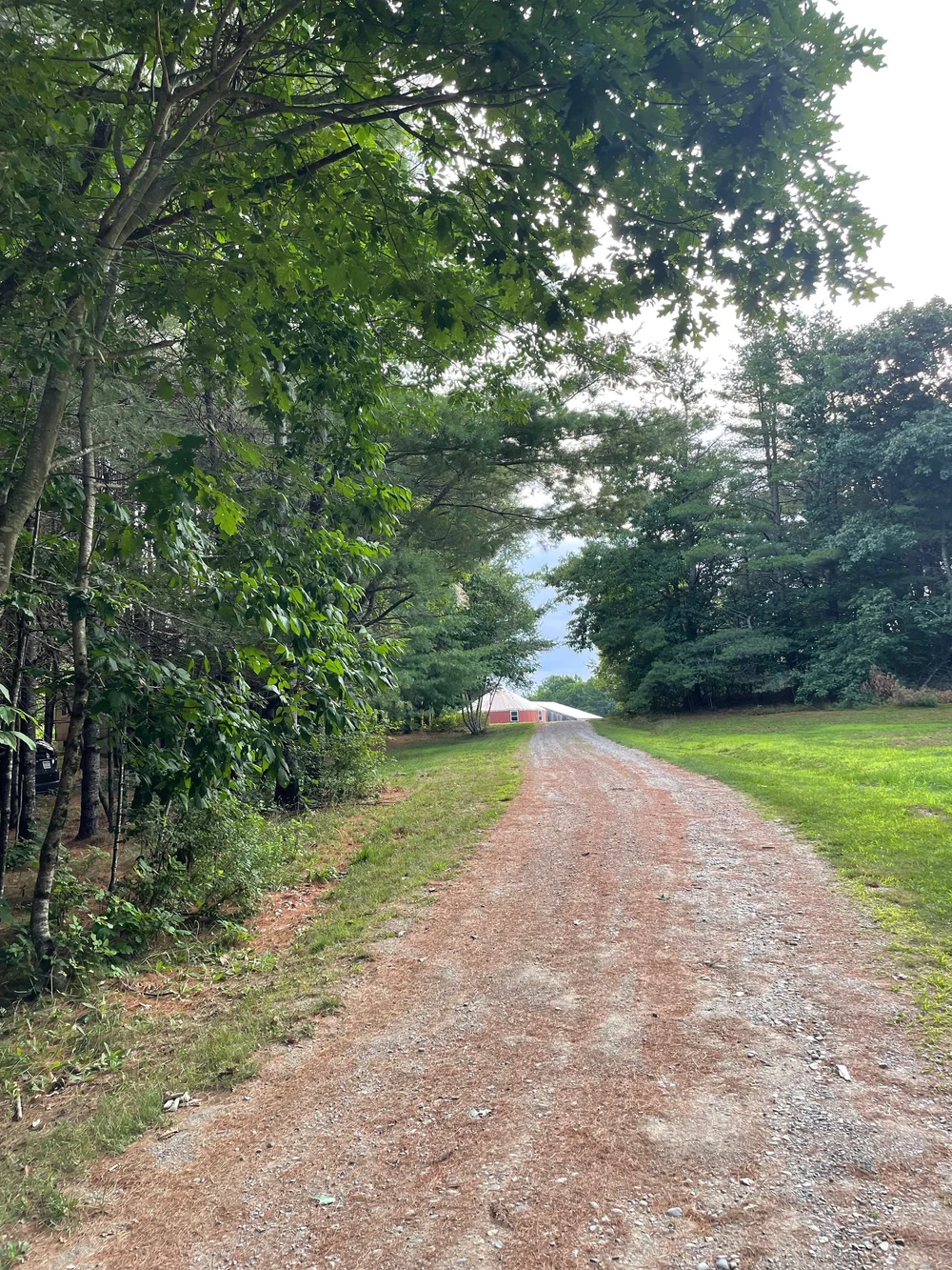 the path to the dyeing hill