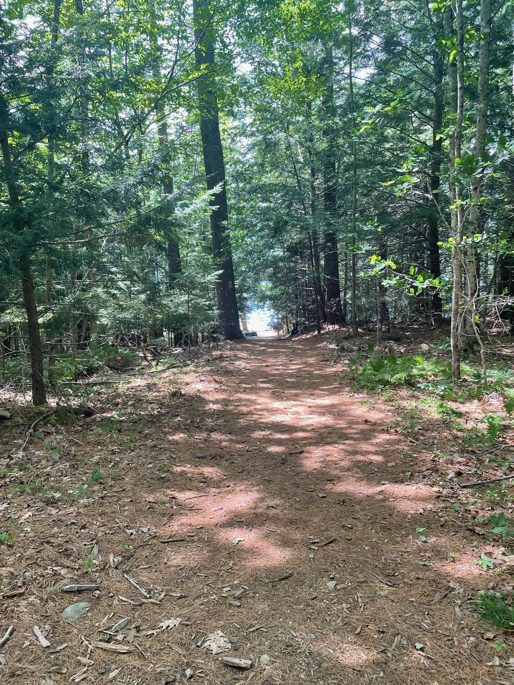 the path down to the lake