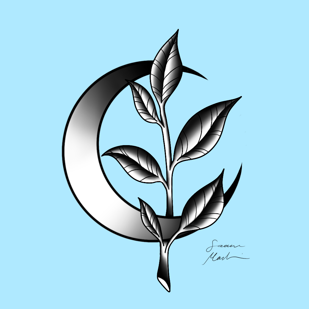 IMG_0122.PNG