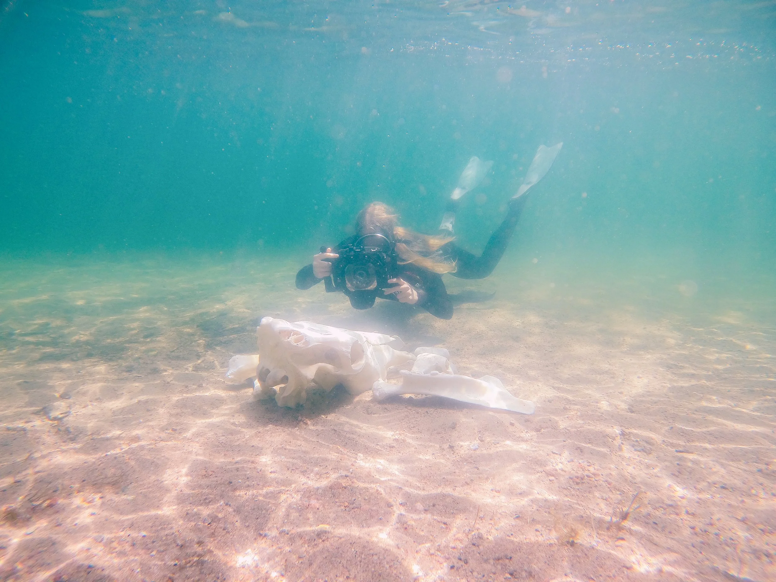 melkutin-paivikuvaa copy 2.JPG