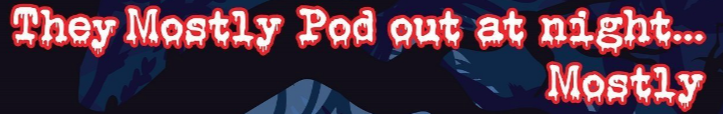 They Mostly Pod Out at Night... Mostly