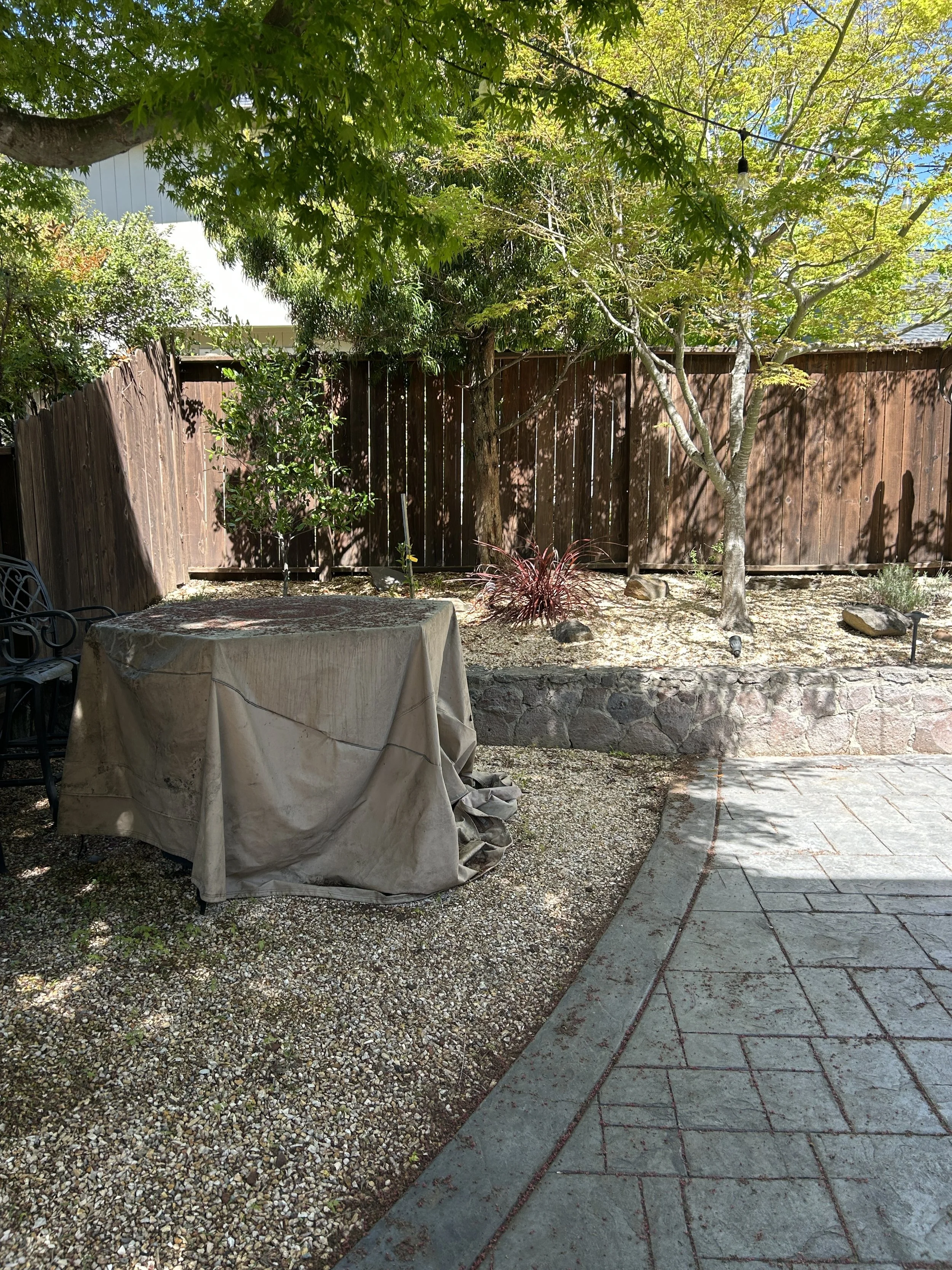 IMG_9140.JPG