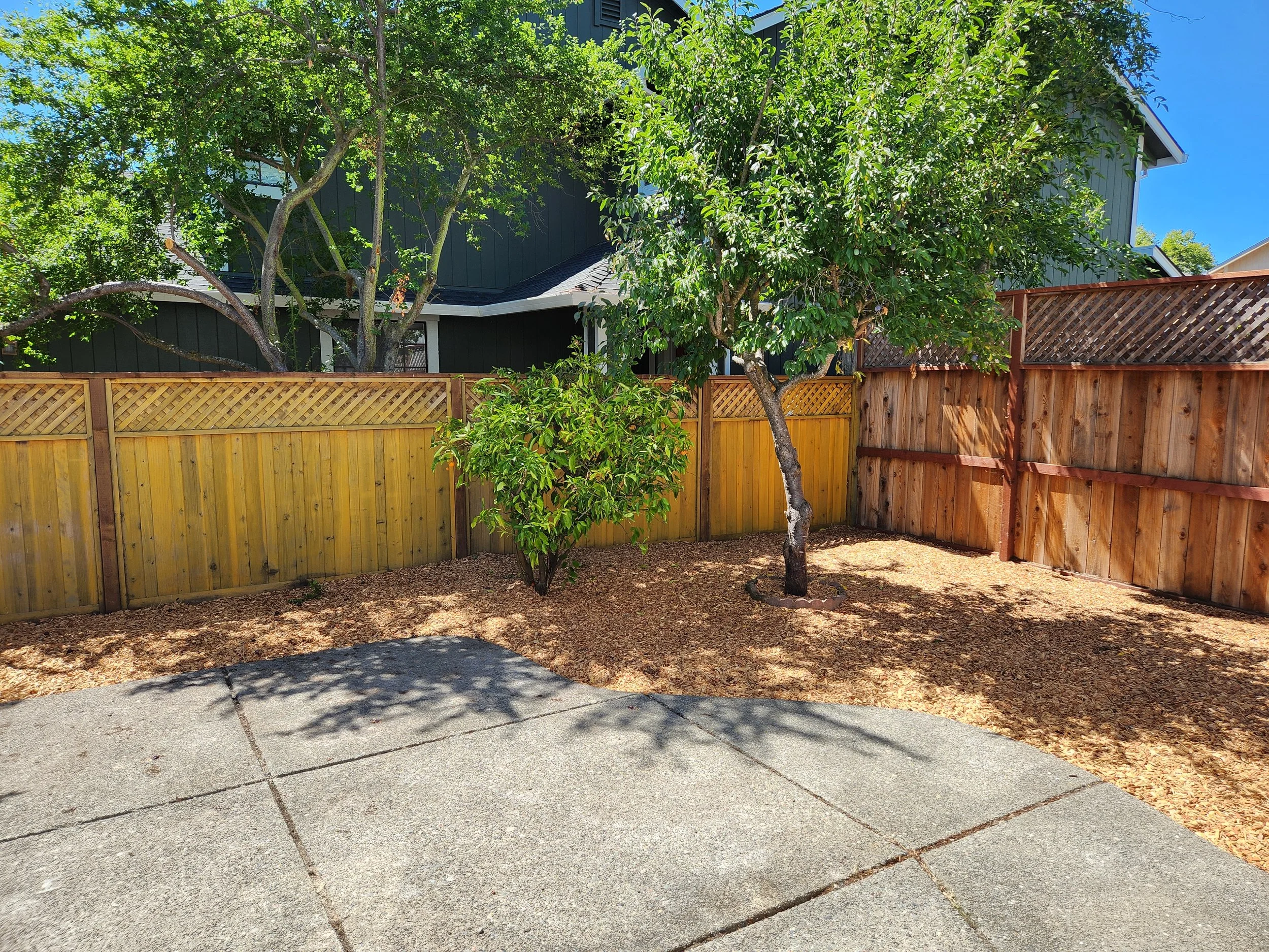 20250717_152224.jpg