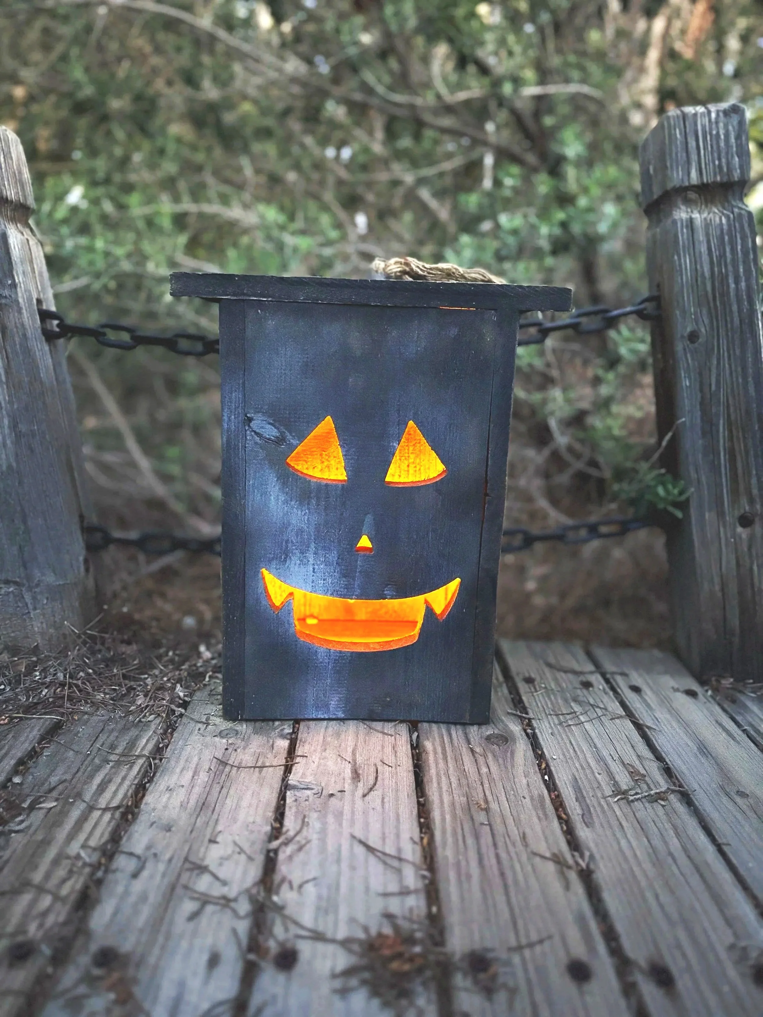 Hi, I’m Fang Jr! | Personalized Cedar Halloween Lantern