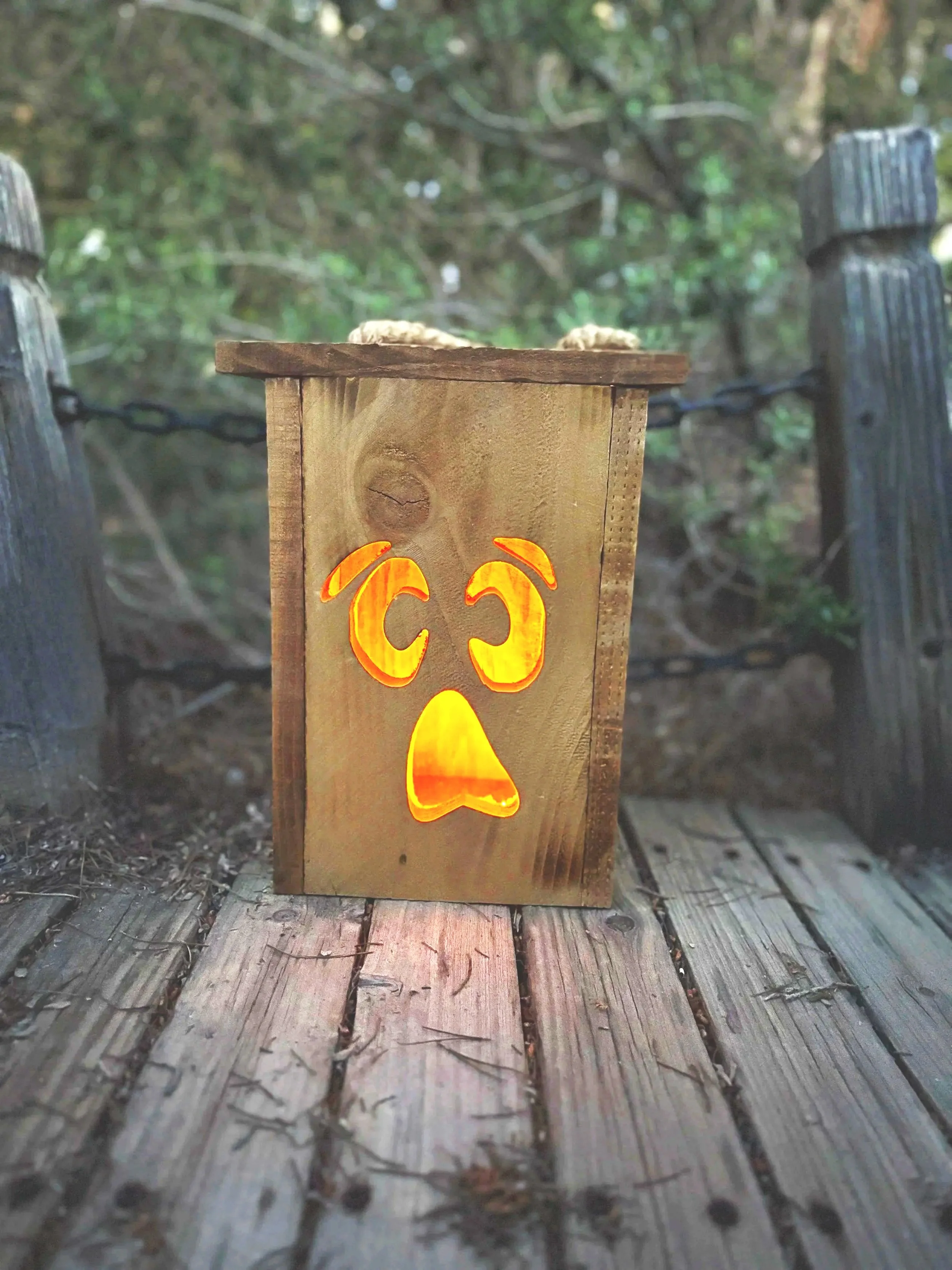 Hi, I’m Scare D Cat! | Personalized Cedar Halloween Lantern