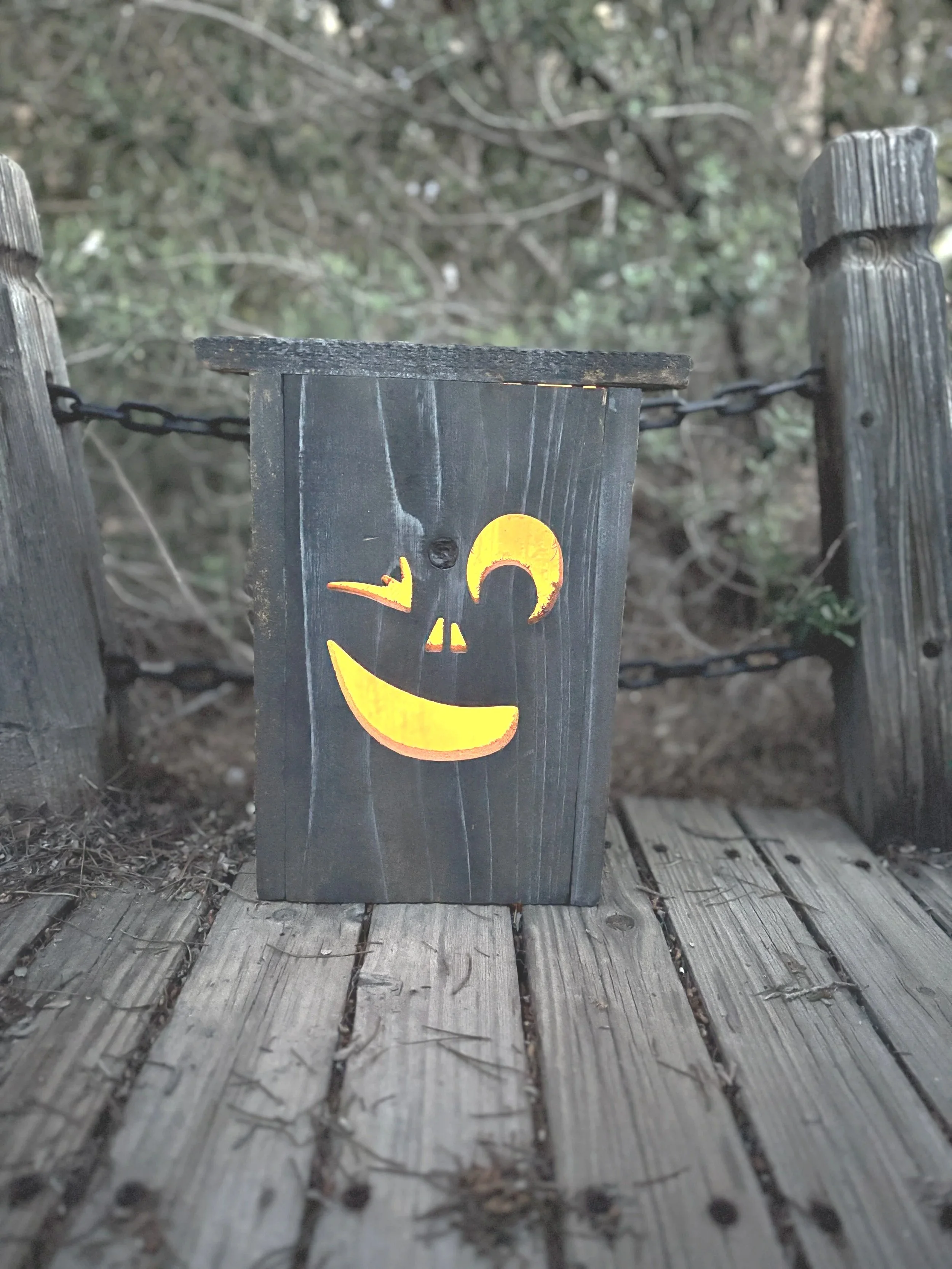 Hi, I’m Winky! | Personalized Cedar Halloween Lantern