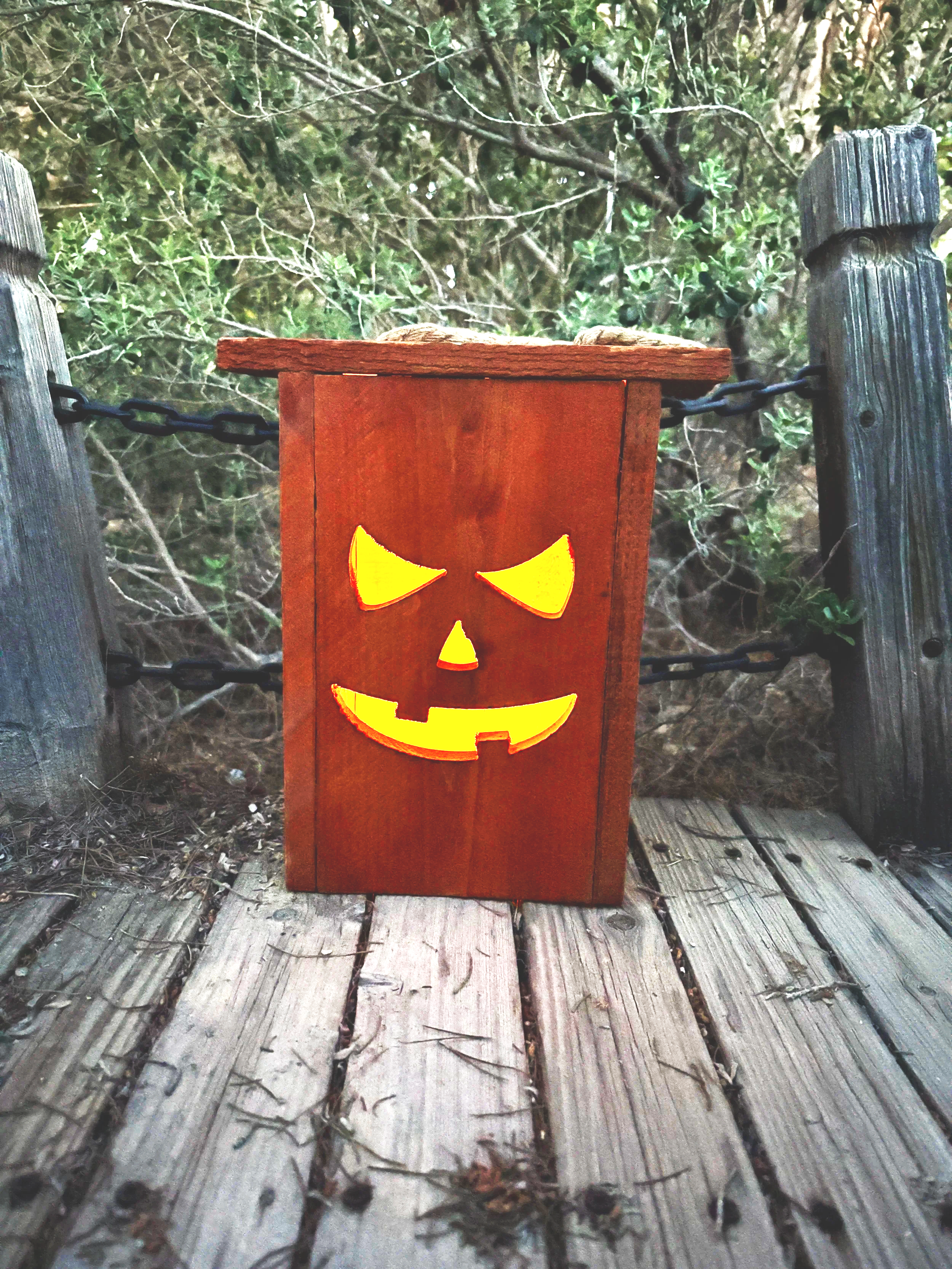 Hi, I’m El Guapo! | Personalized Cedar Halloween Lantern