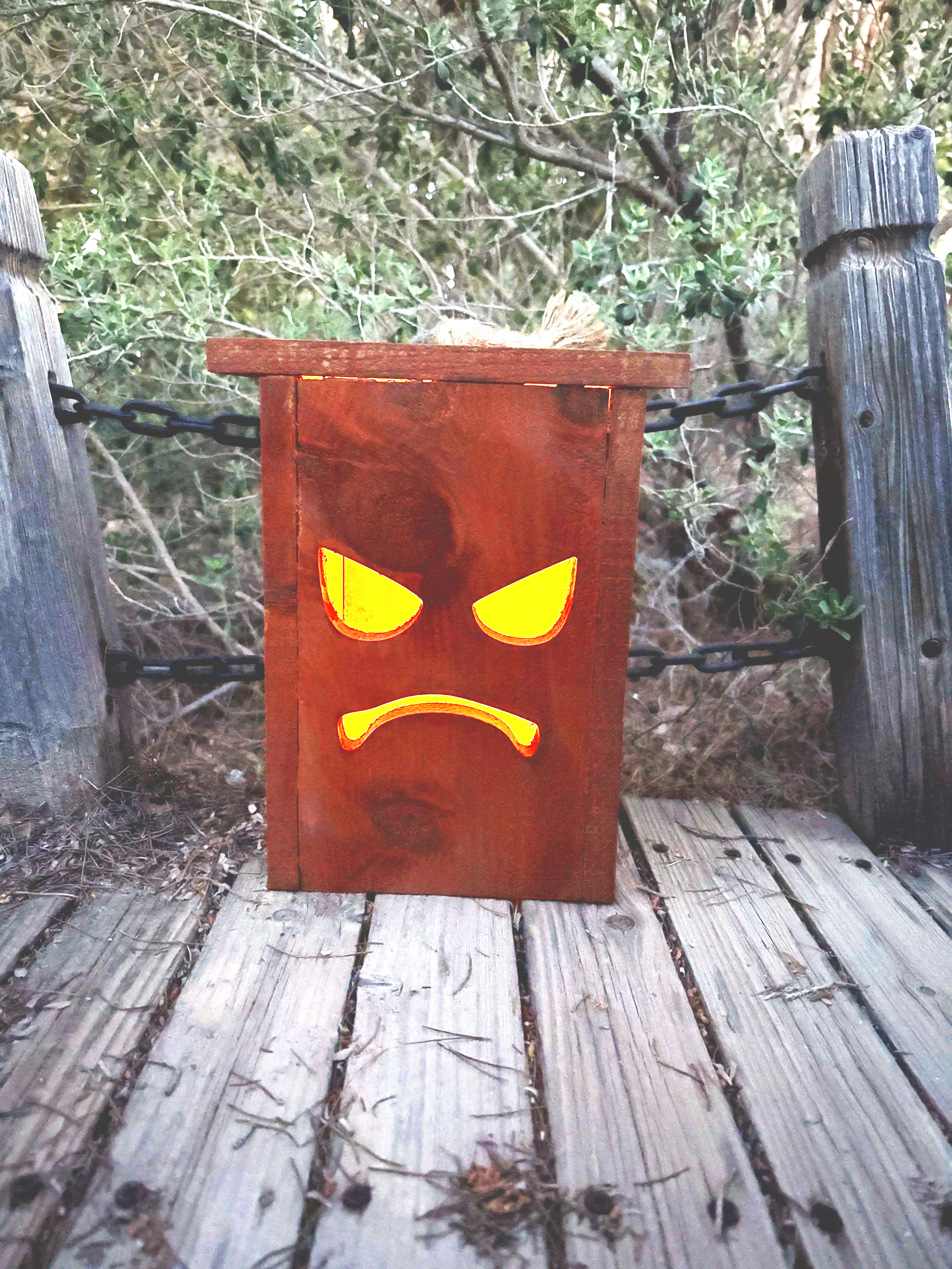 Hi, I’m Sour Puss! | Personalized Cedar Halloween Lantern