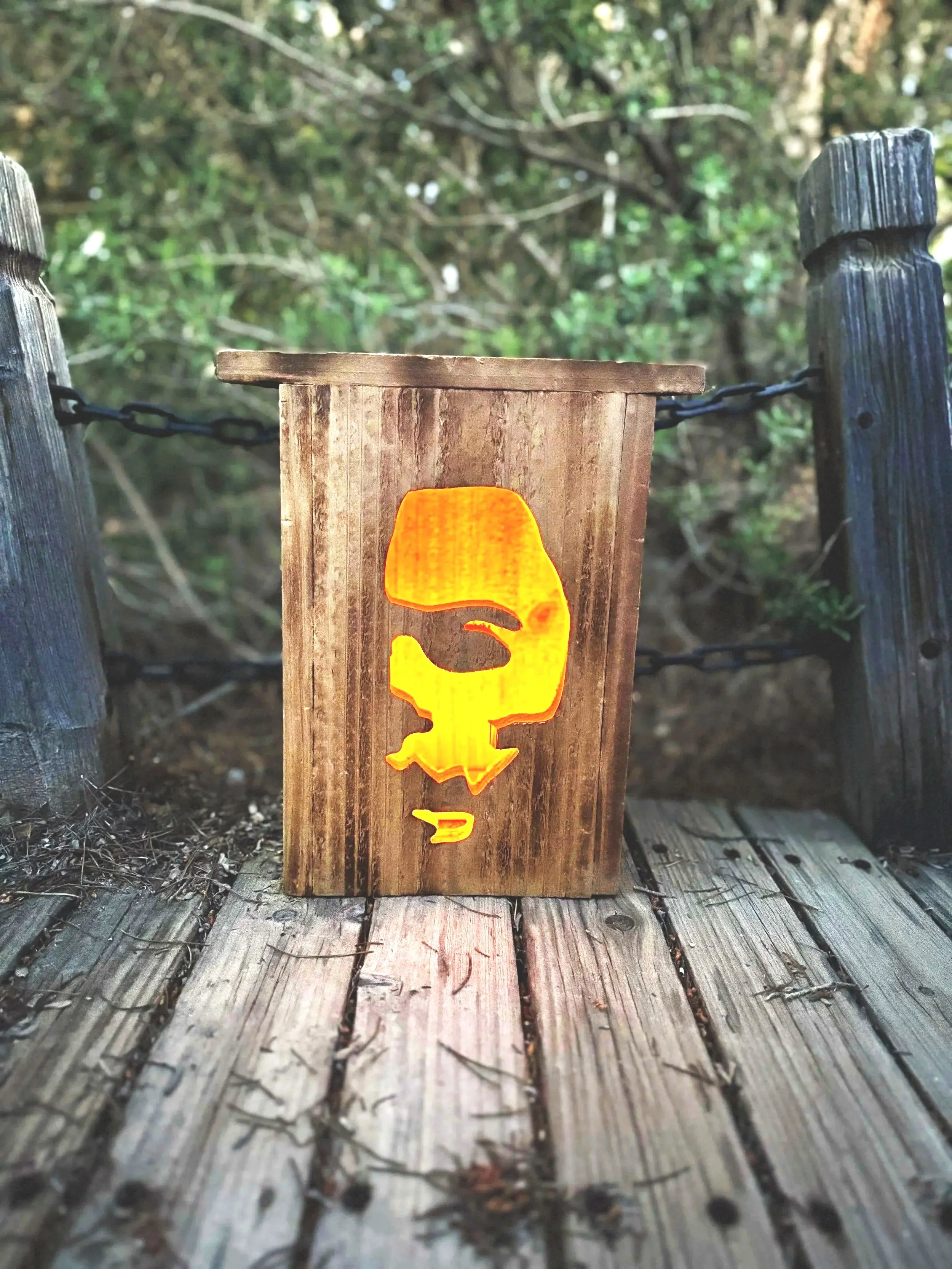 Hi, I’m Mikey Sr! | Personalized Cedar Halloween Lantern