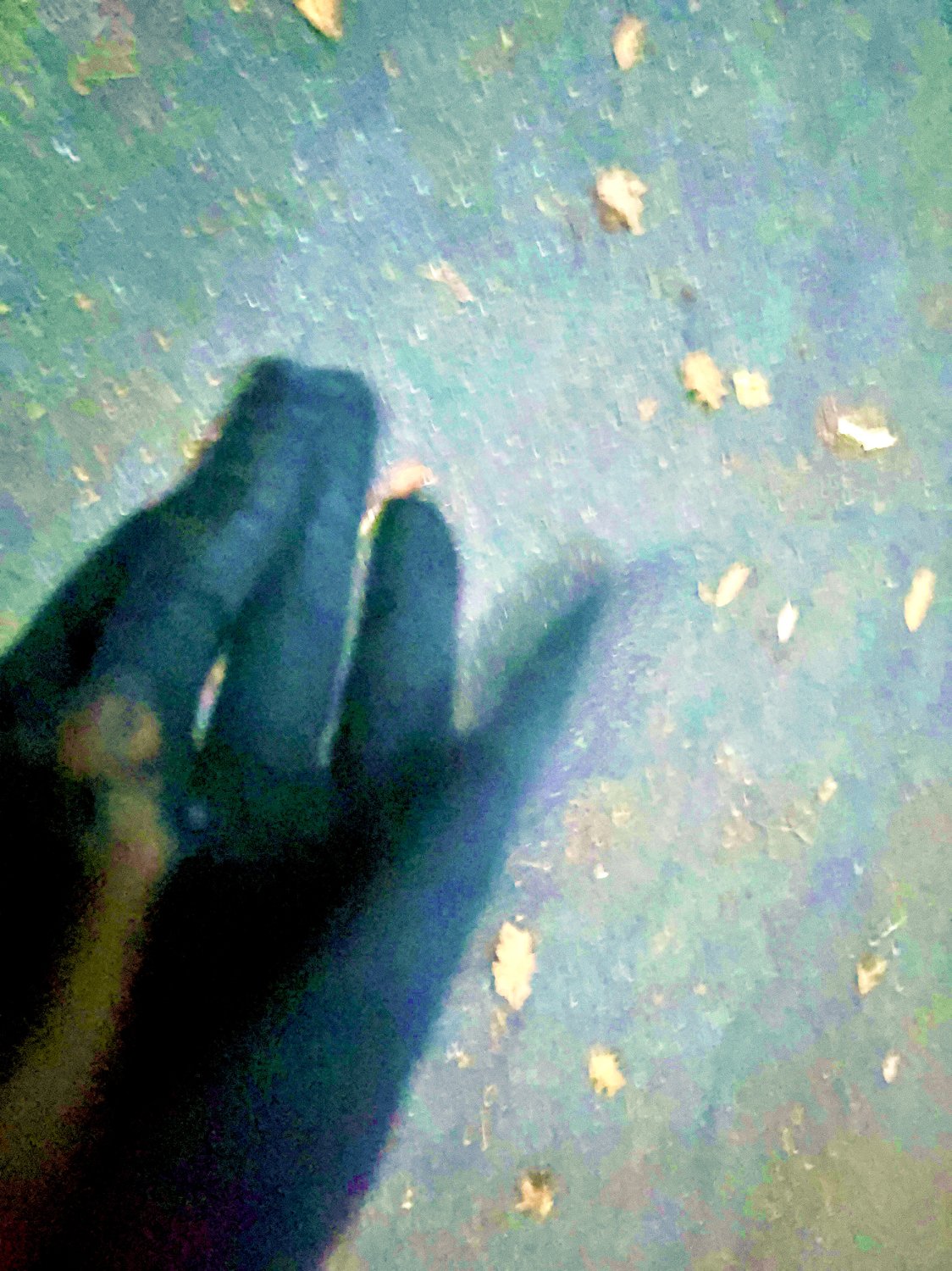 Self reflections1.jpeg