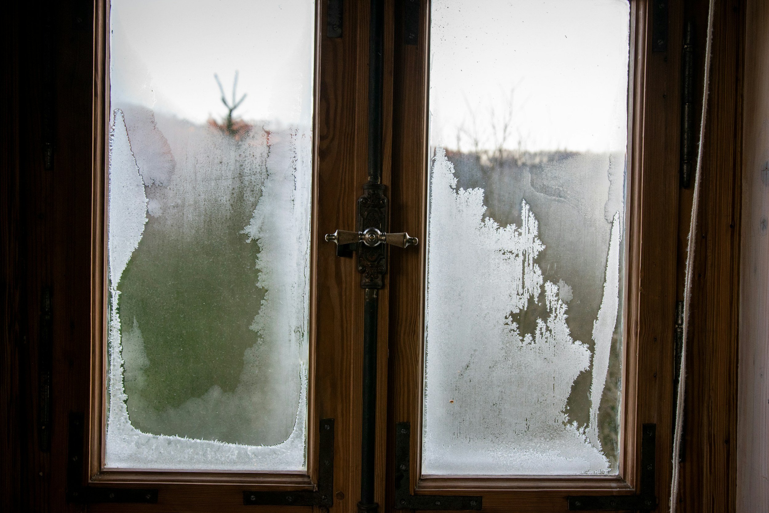 Episode 11: Dear February