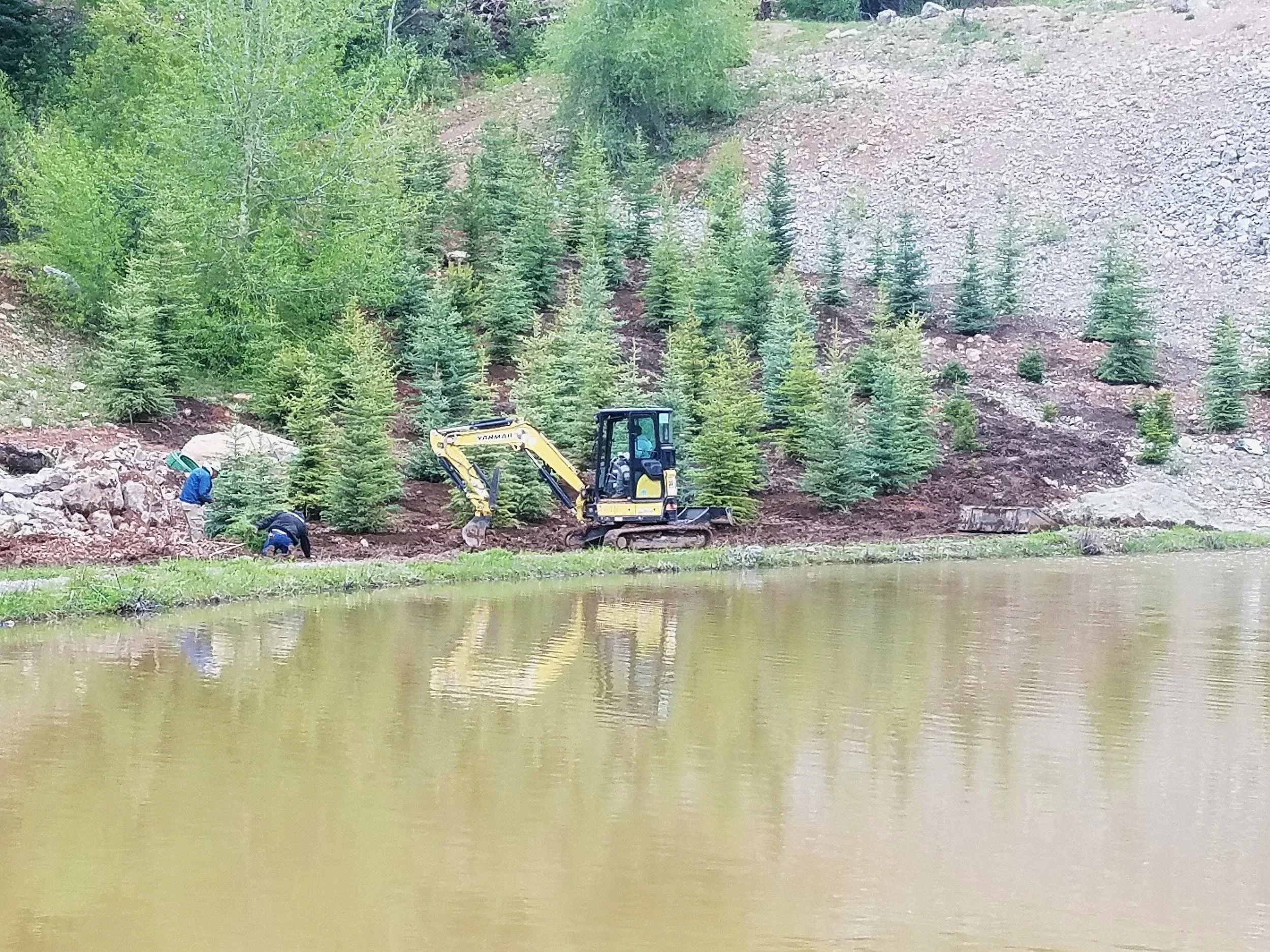 Victor, Idaho Reclamation Landscaping