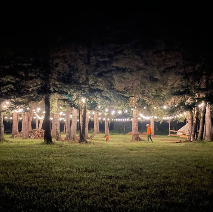 Nighttime outdoor setting with string lights hanging between trees, a person walking, and a hammock on the right side.
