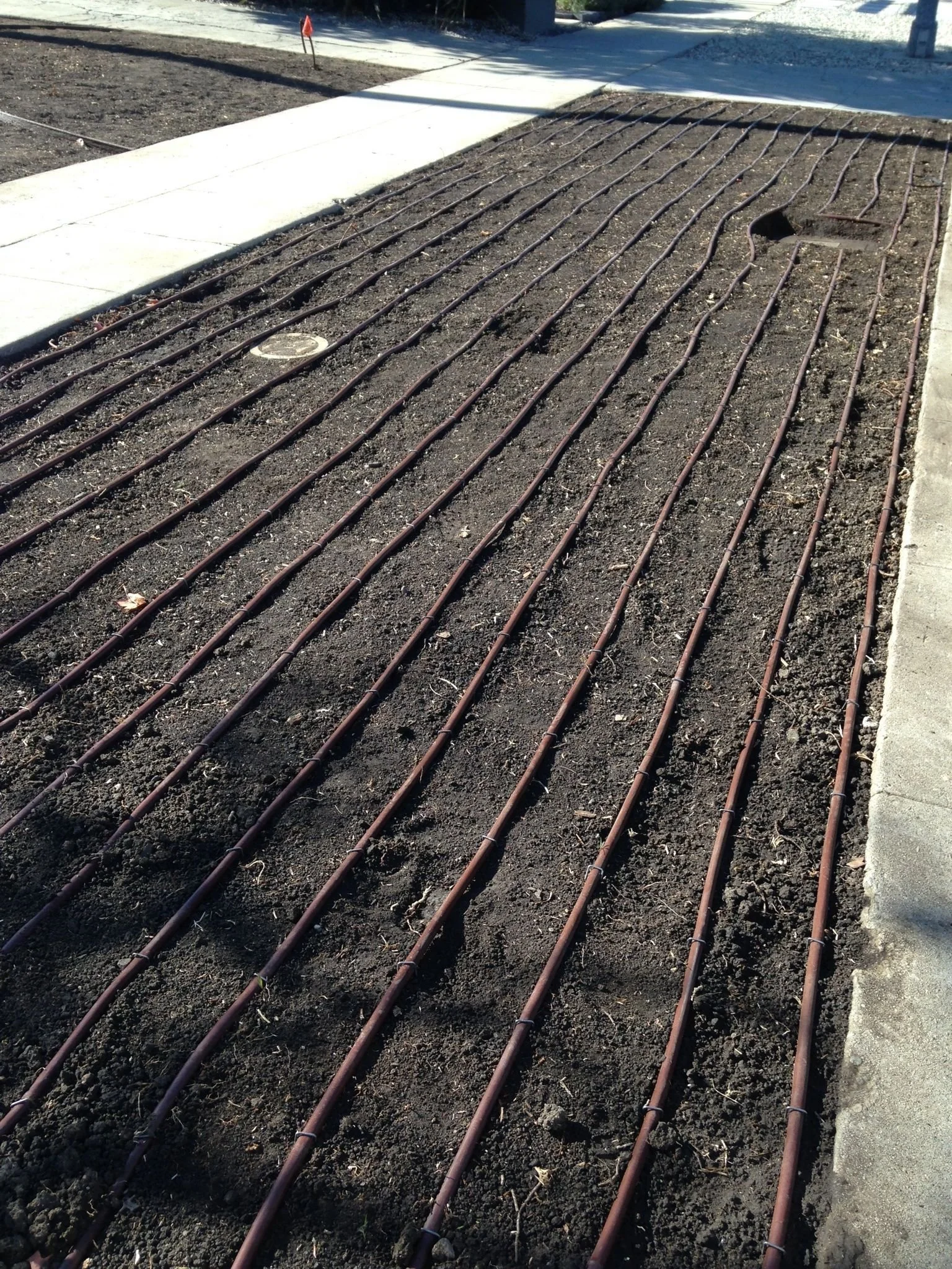 Driggs, Idaho Drip Irrigation