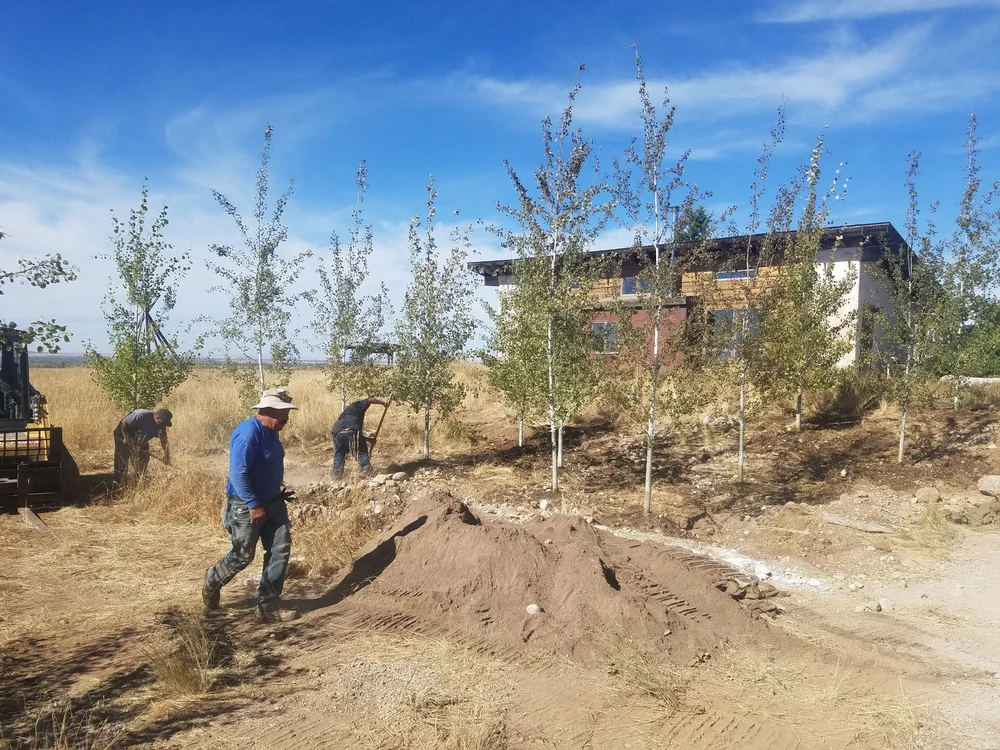 About Us — Sanders Land & Light