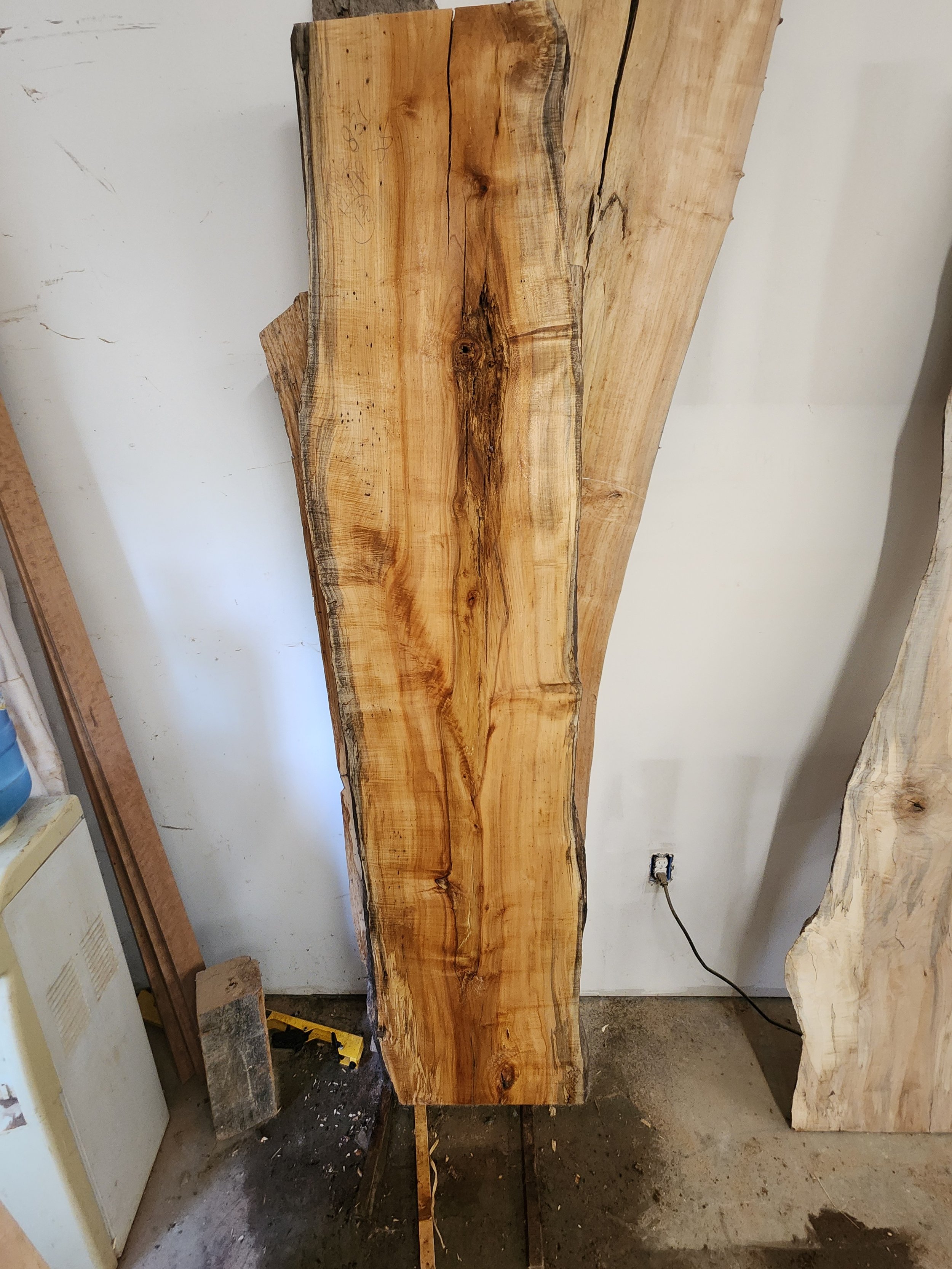 Hard Maple Slab 831