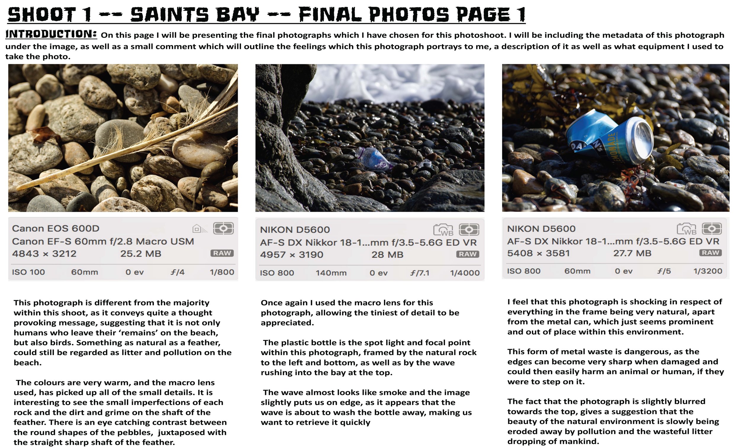 Remains - James Crook _Page_014.jpg