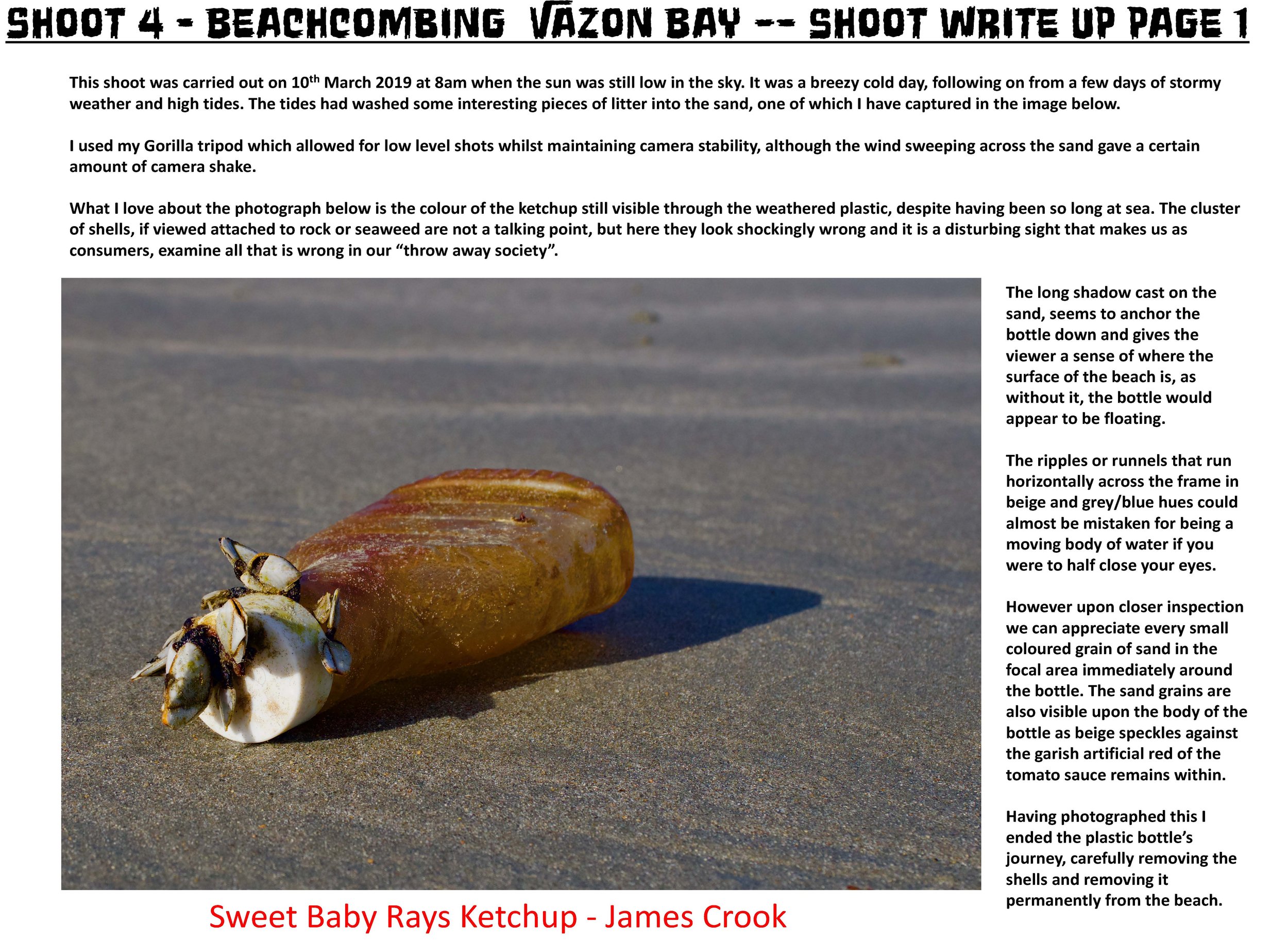 Remains - James Crook _Page_035.jpg