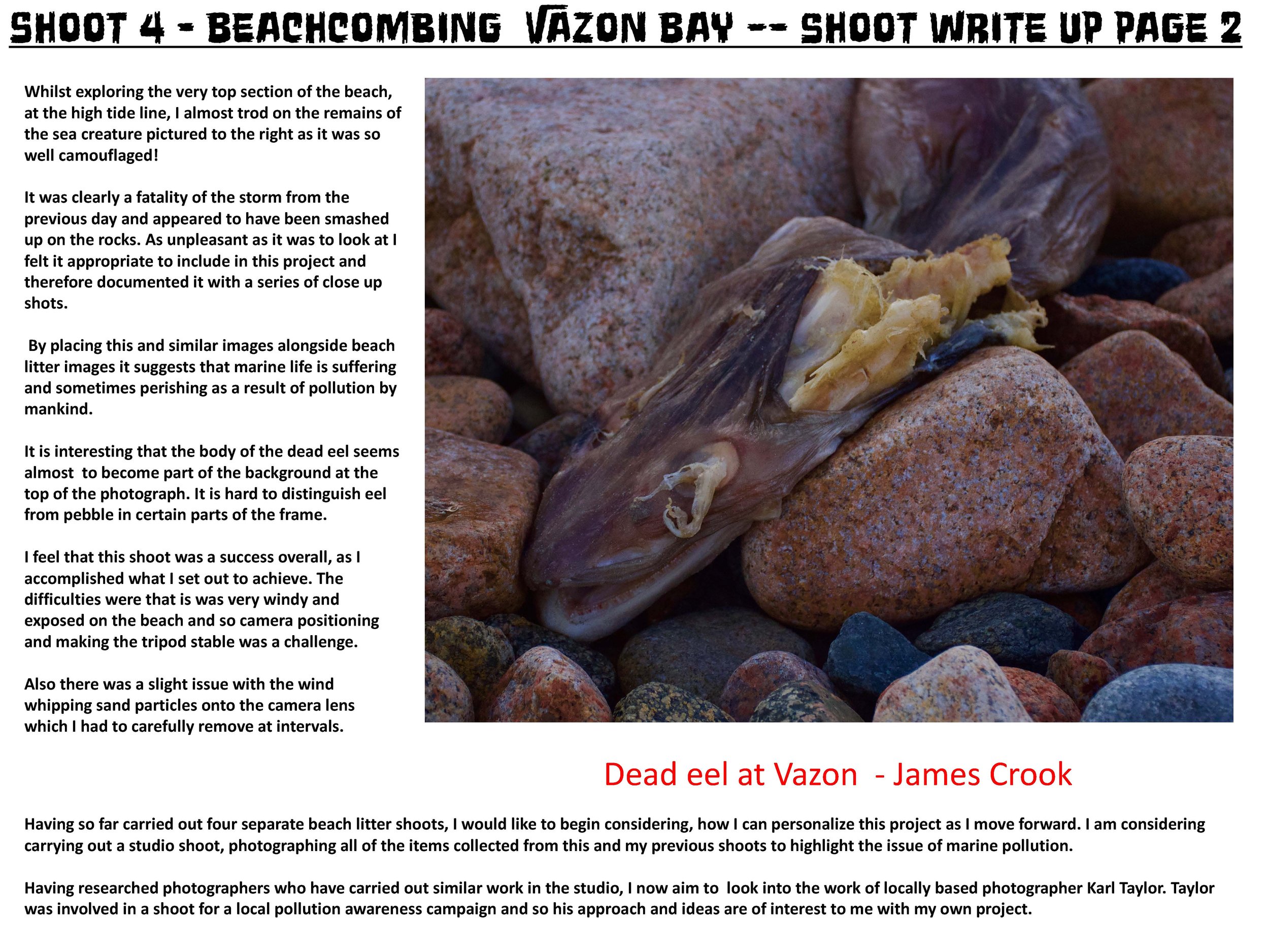 Remains - James Crook _Page_036.jpg