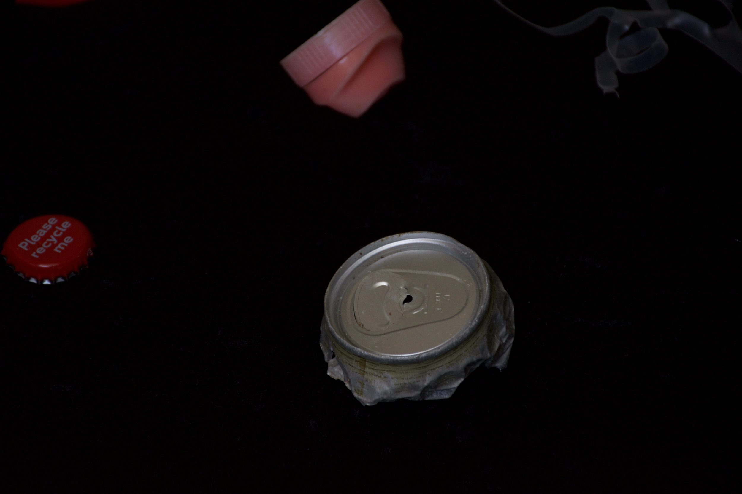 DSC_4627.jpg