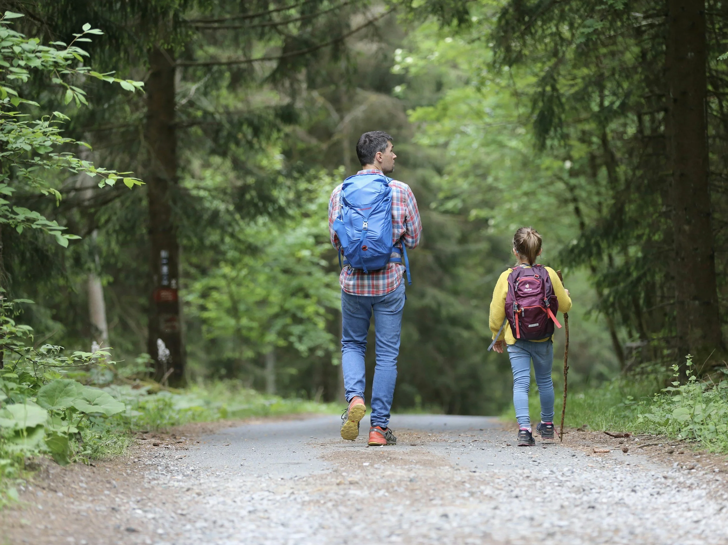 A man and a young girl hiking on a forest trail with backpacks and walking sticks.