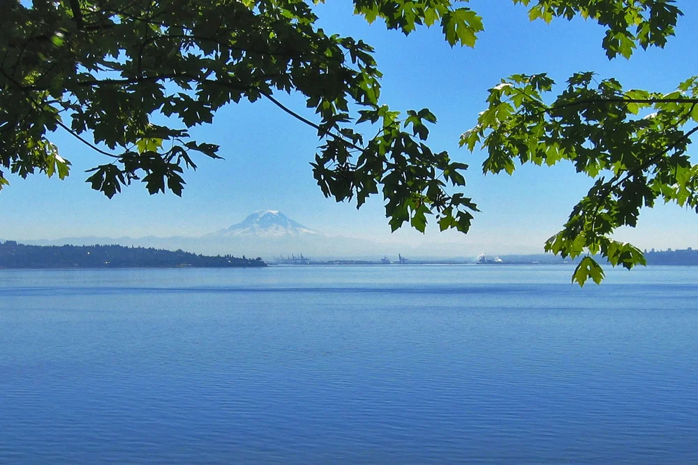 About Us — VashonMaury Island Land Trust