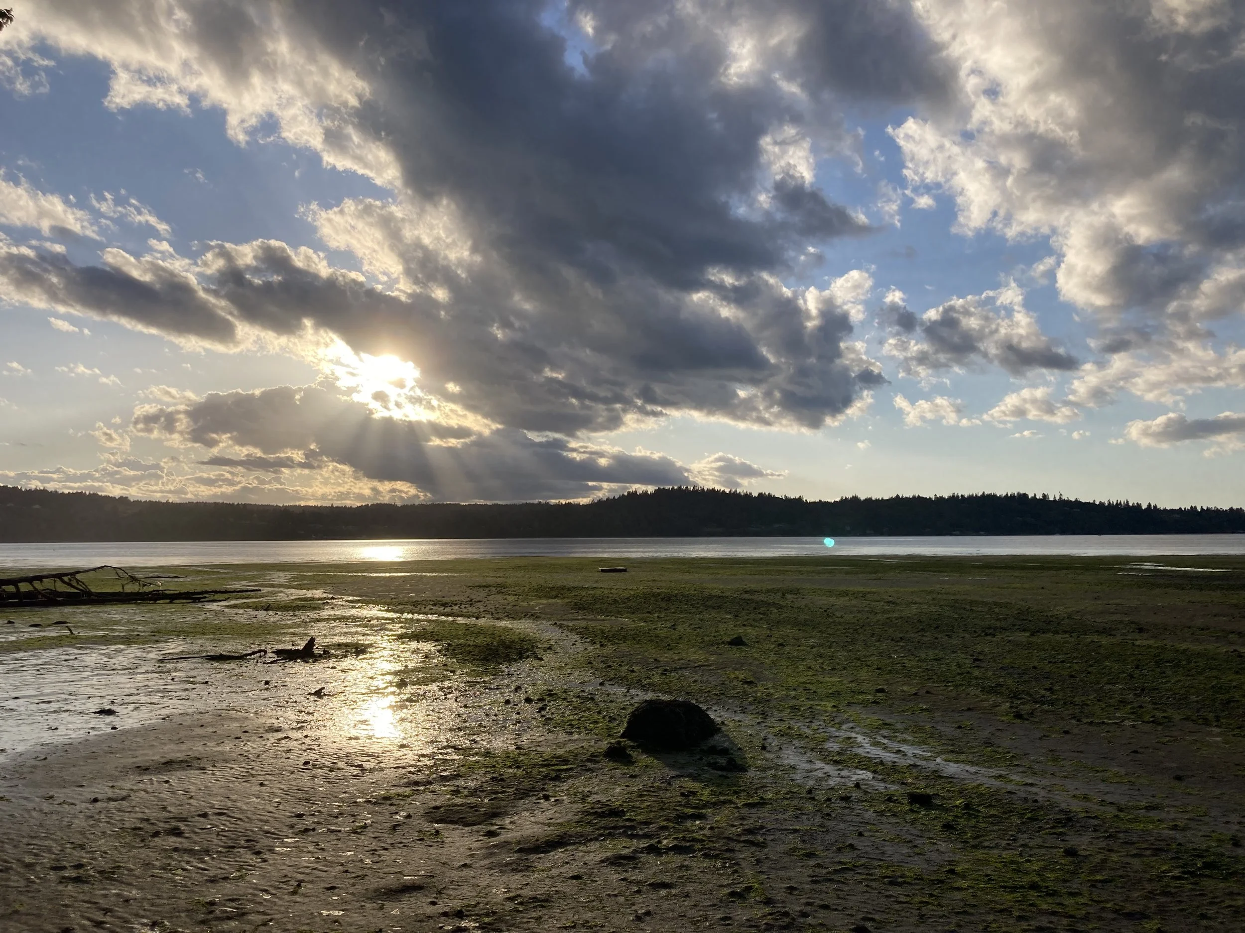 Planned Giving — VashonMaury Island Land Trust