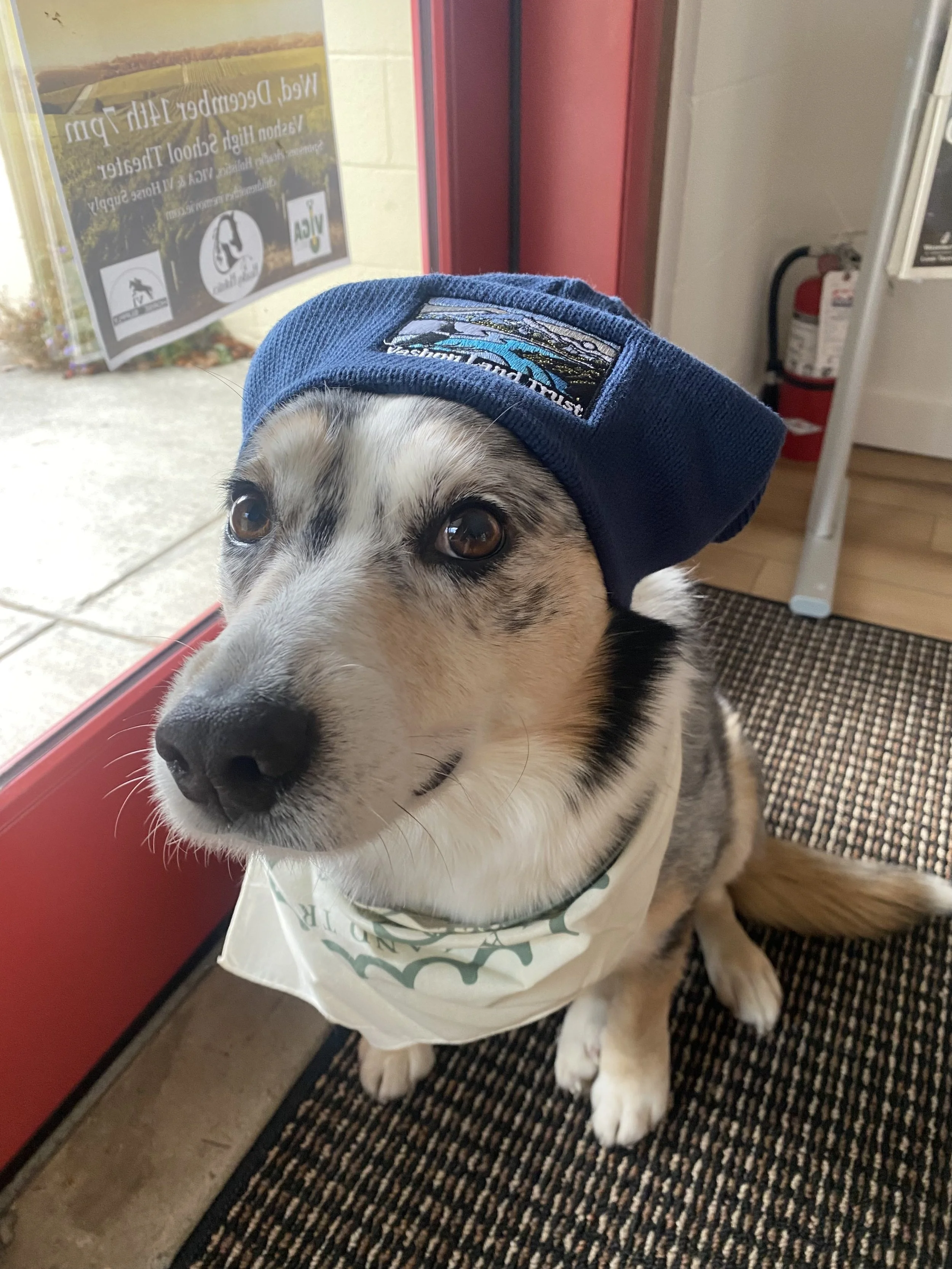 Store — VashonMaury Island Land Trust