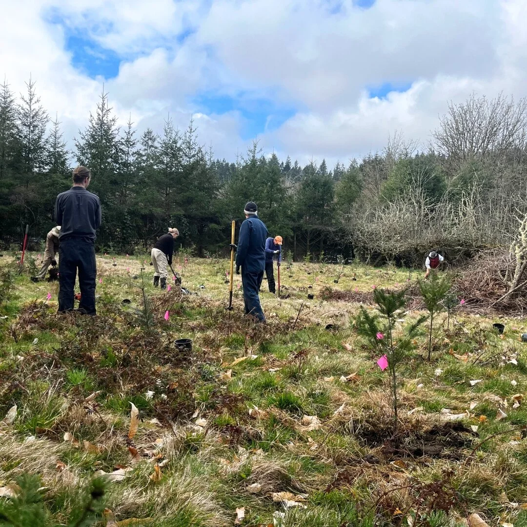 VashonMaury Island Land Trust