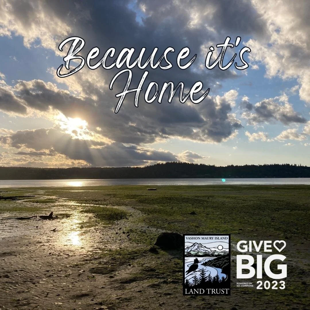 VashonMaury Island Land Trust