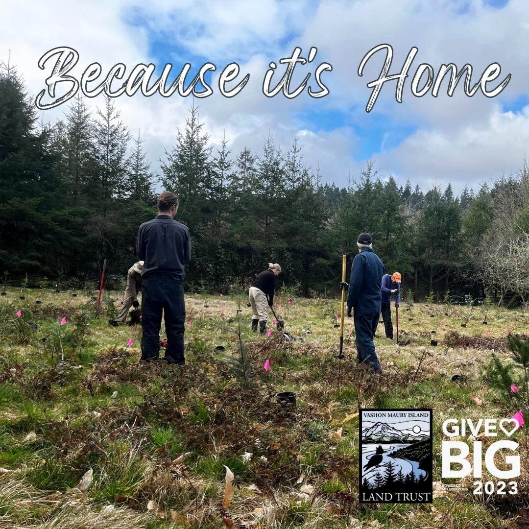 It&rsquo;s May 2nd. GiveBIG has officially arrived!

Why is GiveBIG so important? GiveBig makes it possible for small community nonprofits, like the Land Trust, to get noticed by a larger community and highlight the conservation work happening right 