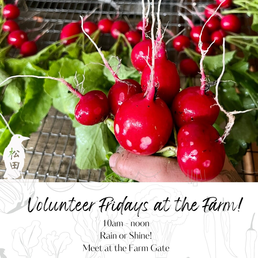 Spring has sprung, folks! Tomorrow, May 5th, come help out Farmer Jones, Farm Coordinator Colie, and Veteran Intern Kristyn from 10:00am - 12:00pm.

May's tasks:

🌱 Covering Phoenix with plastic
🌱 Prepping Phoenix beds
🌱 Transplanting peppers, tom