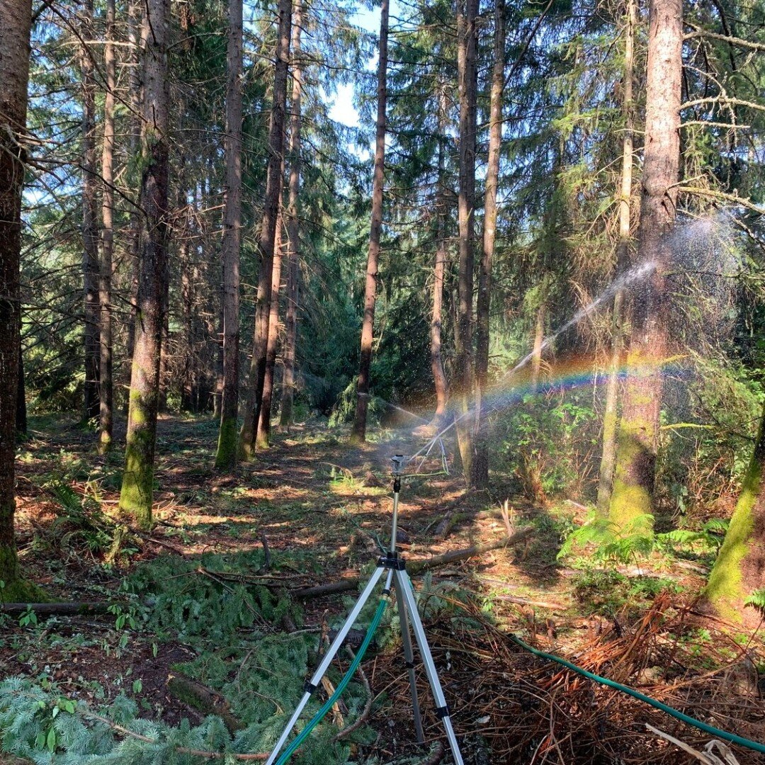 Join the Stew Crew and our volunteer corps tomorrow, May 9th, from 10:00am - 12:00pm for some planting maintenance in paradise! 

We&rsquo;ll be spreading mulch around our recent native plantings. Meet at the Judd Creek Parking lot on the north end o