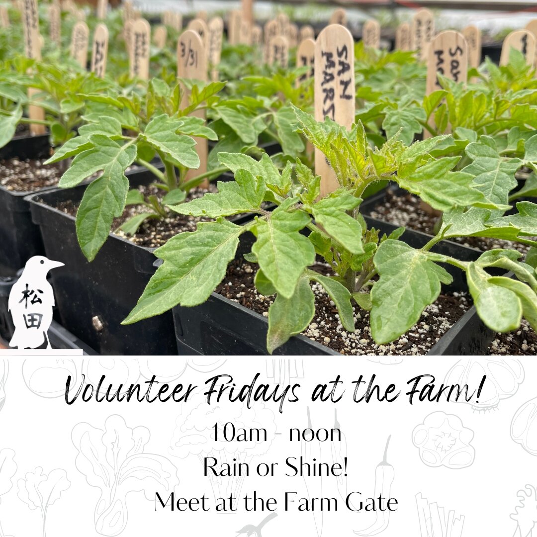 It&rsquo;s Thursday, which means its Farm Work Party Eve!  Come help out Farmer Jones, Farm Coordinator Colie, and Veteran Intern Kristyn, tomorrow, May 12th from 10:00am - 12:00pm at Matsuda Farm.

May's tasks:

🌱 Covering Phoenix with plastic

🌱 