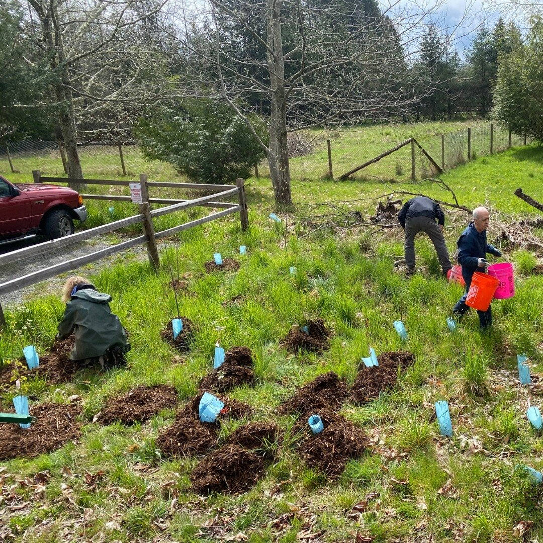 VashonMaury Island Land Trust