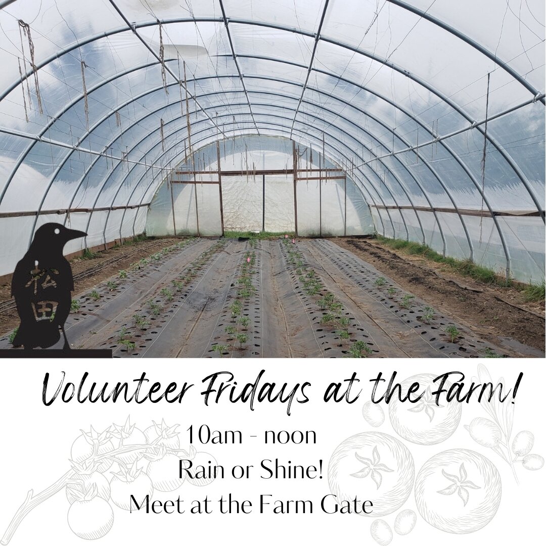 Tomorrow is going to be a gorgeous day at the farm. Won't you join Farmer Jones, Farm Coordinator Colie, and Veteran Intern Kristyn? They could sure use your help from 10:00am - 12:00pm Friday, May 19th!

May's tasks:

🌱 Covering Phoenix with plasti